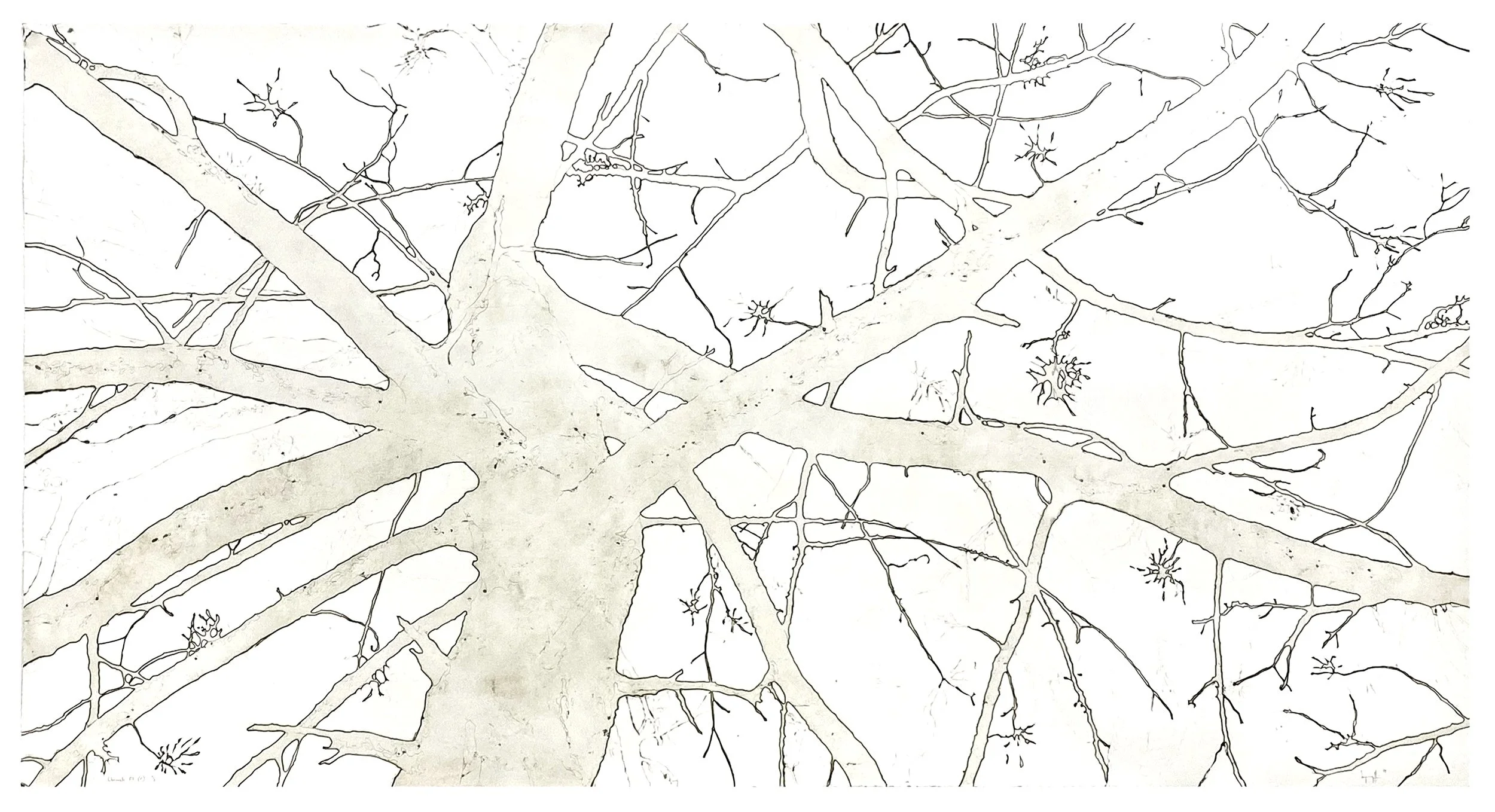 "Channels 02 (P)", 42" x 80", edition of 2