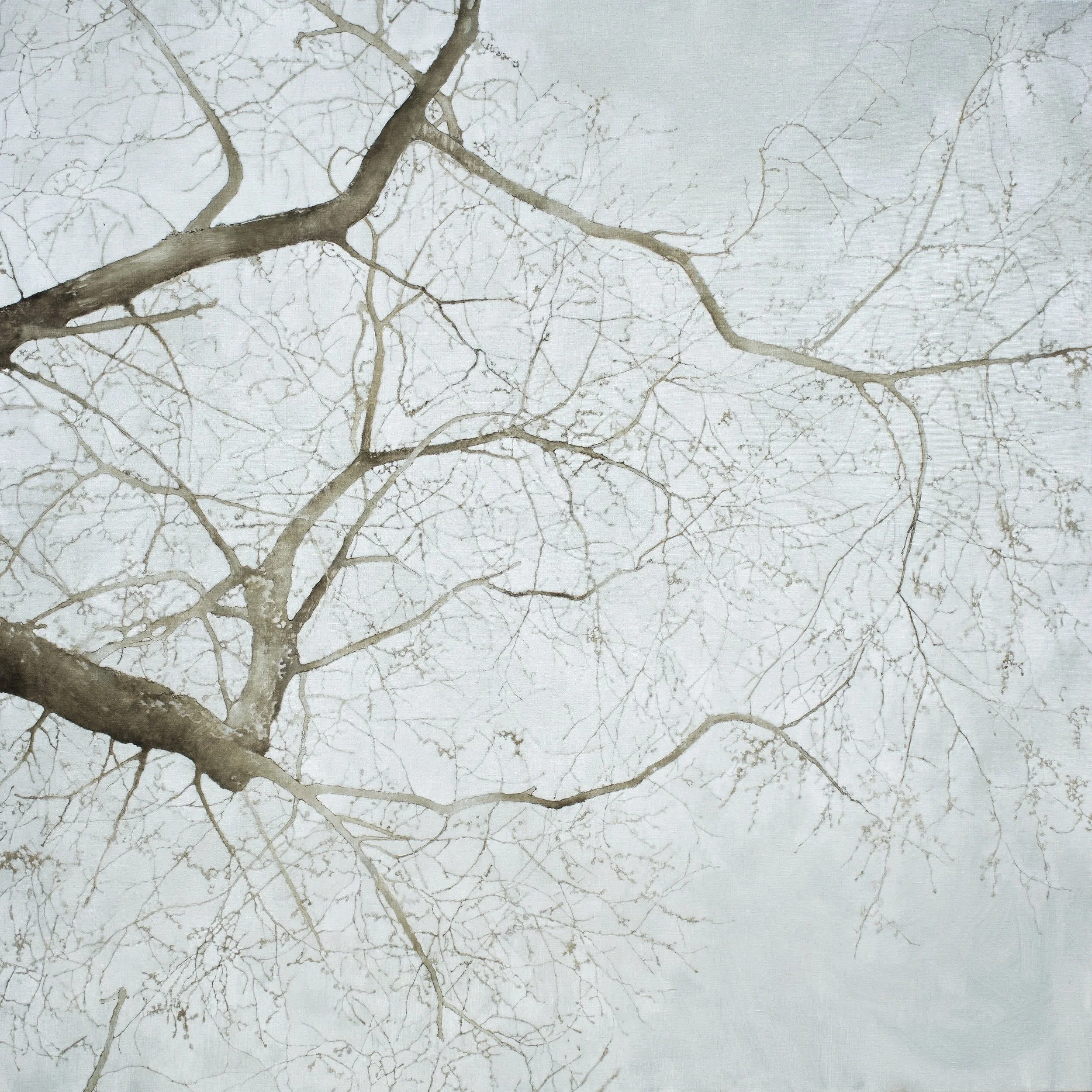 "Gossamer 01", 2020, 60" x 60"