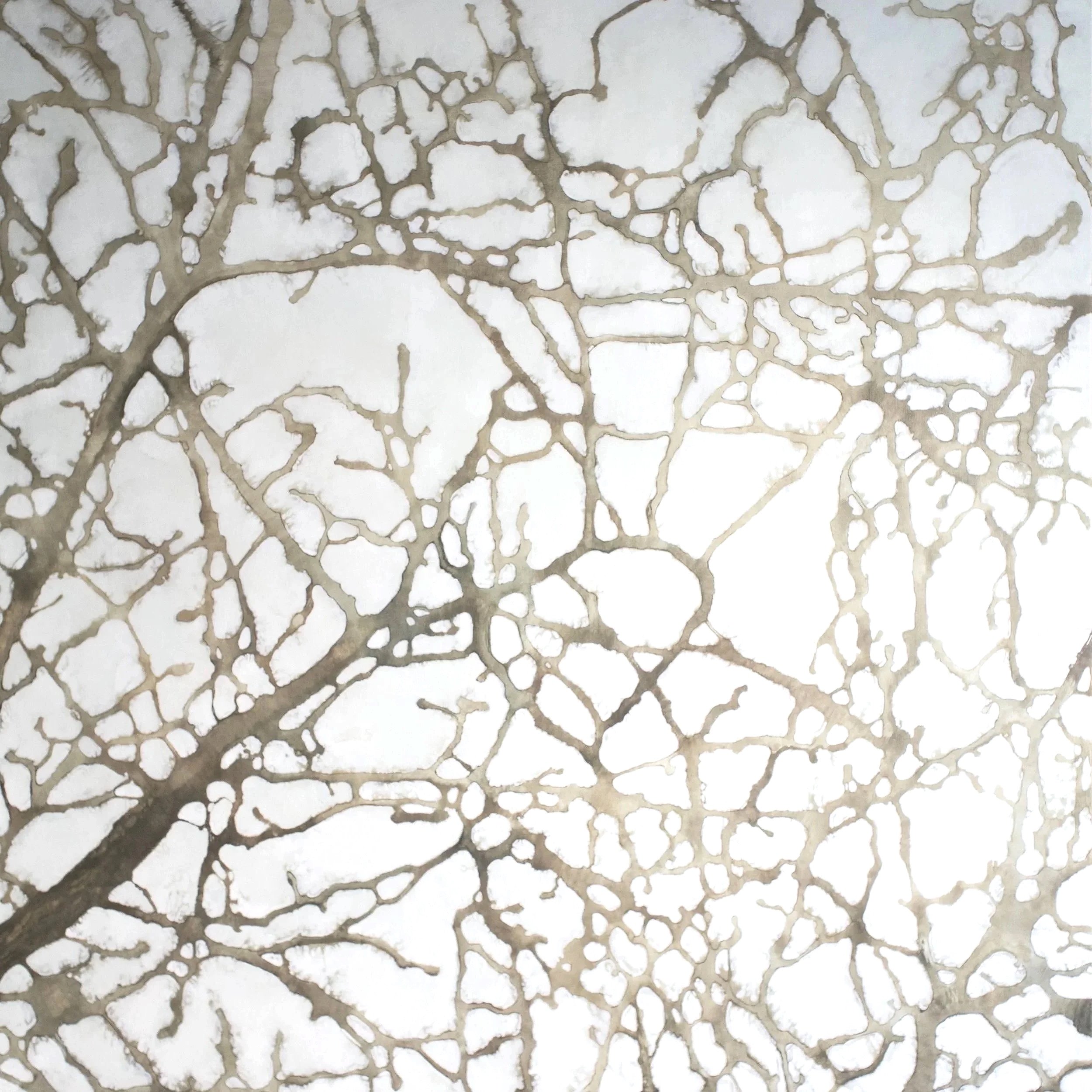 "Webs 16", 2026, 60" x 60"