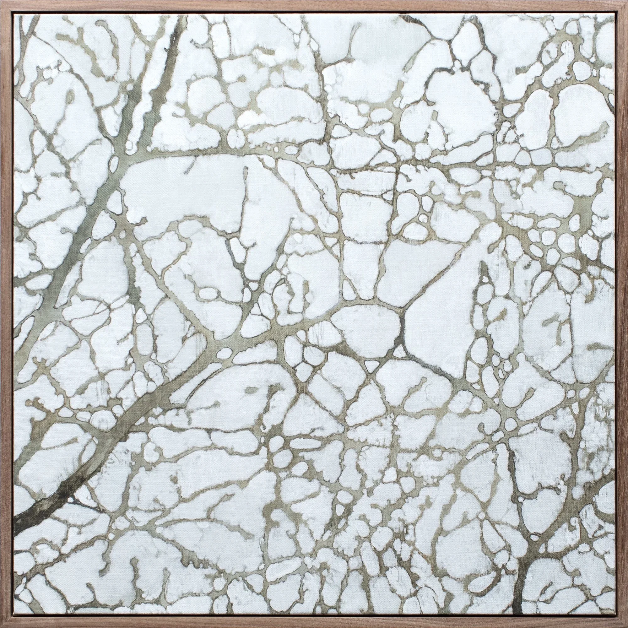 "Webs 12", 2024, 20" x 20"