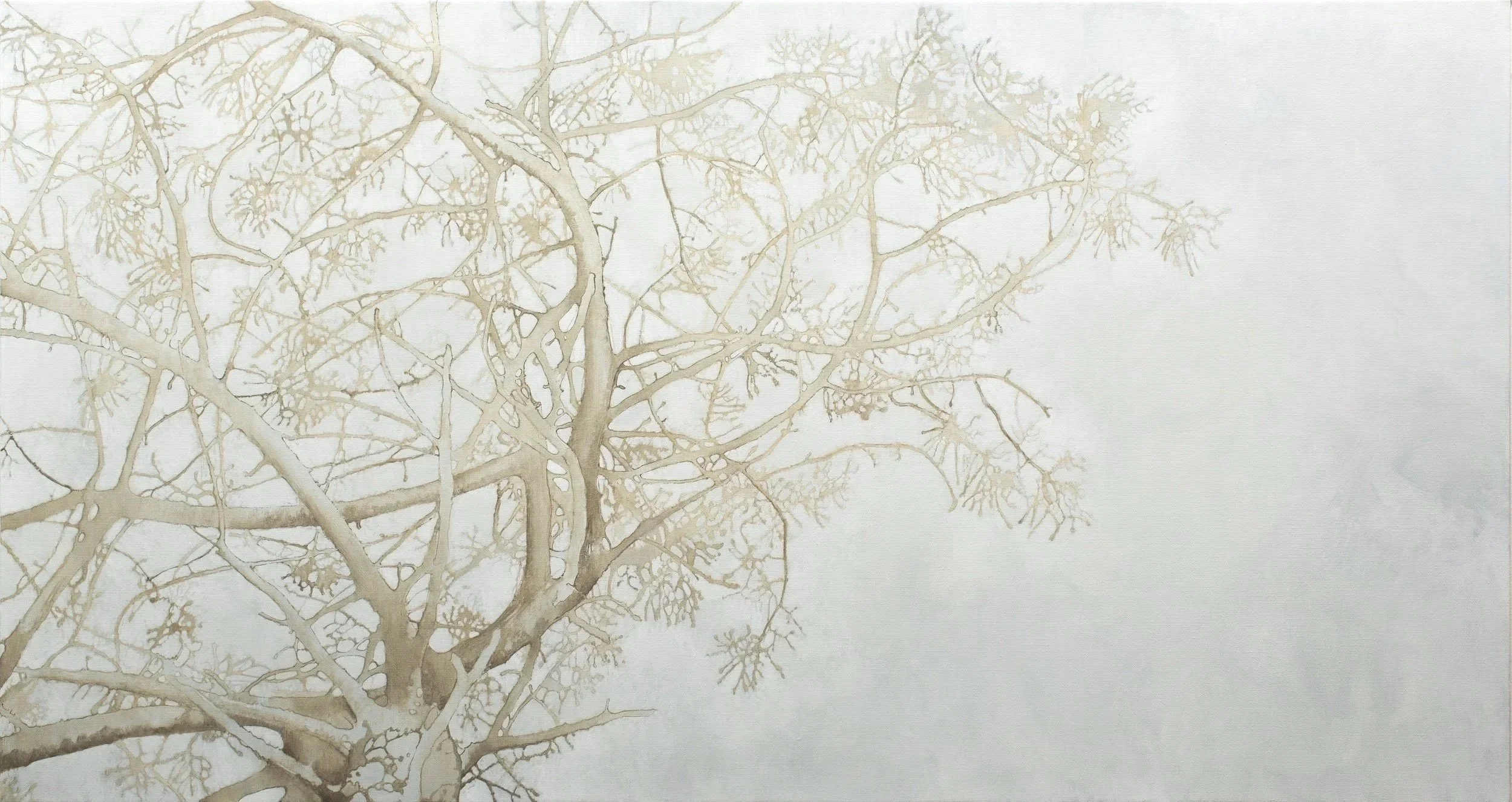 "Webs 09", 2023, 32" x 60"