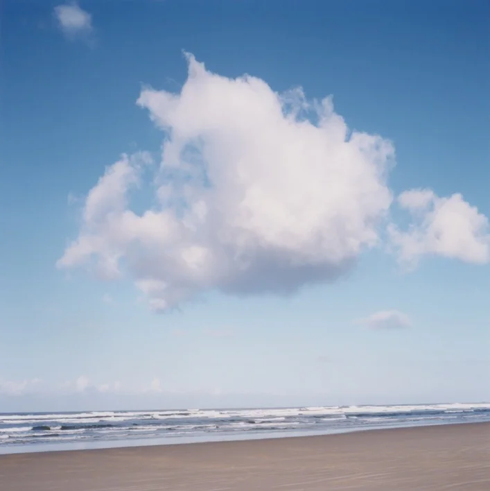 Meditation & Mindfulness