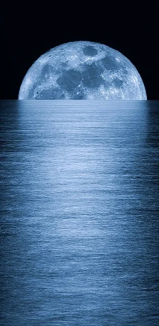 Full Moon Rising.jpg