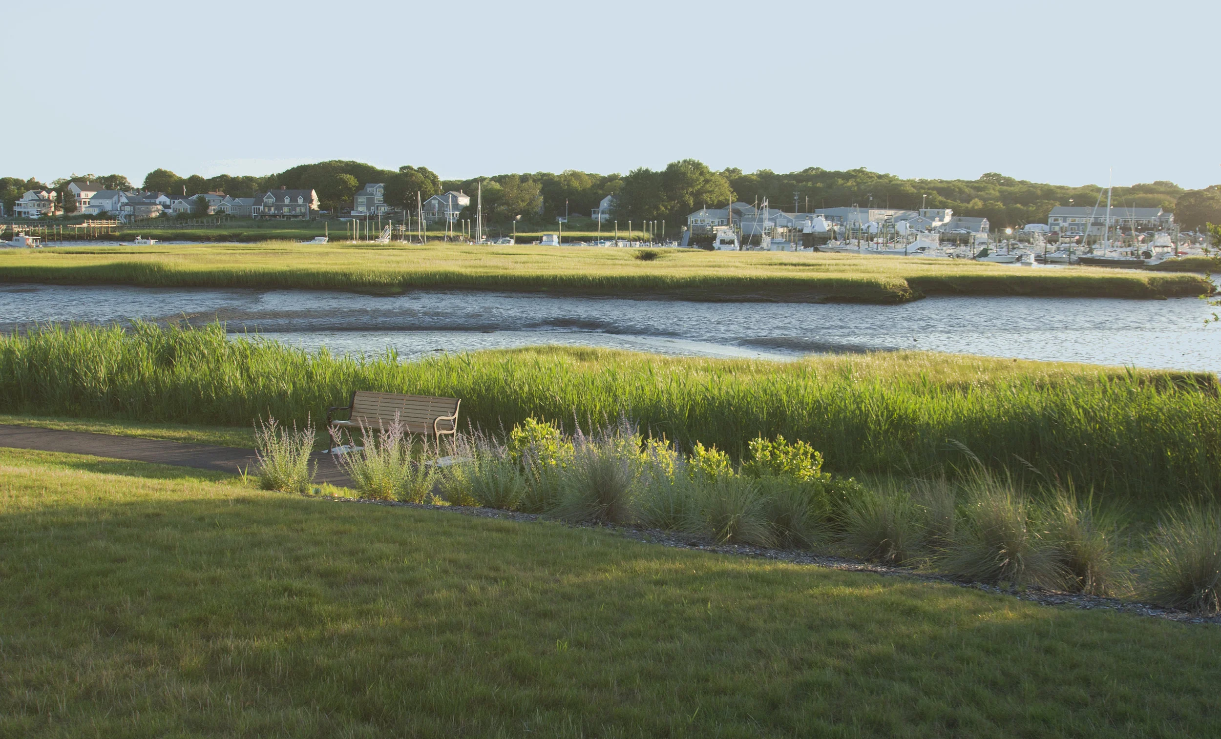 bench and water.jpg