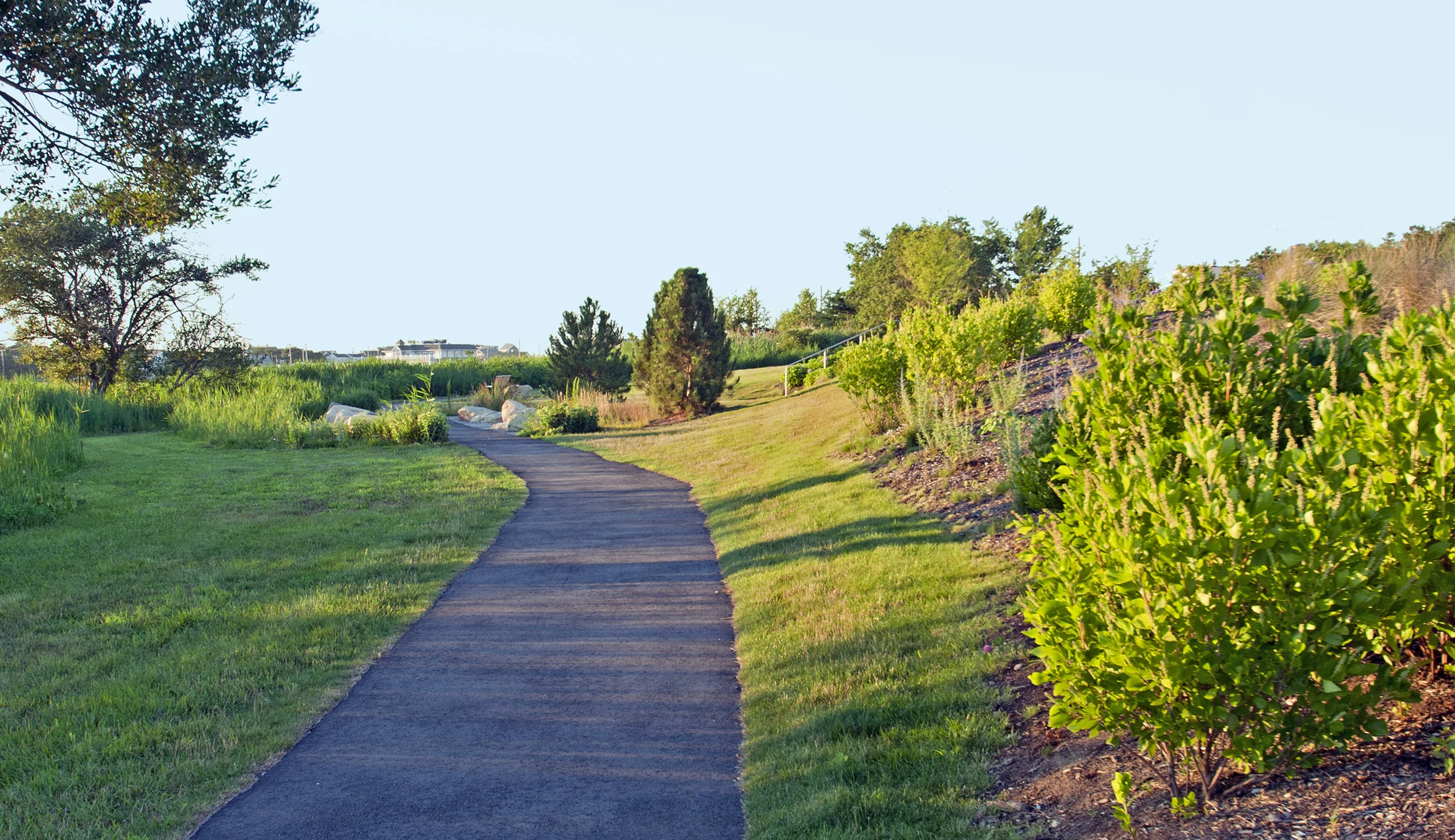 path.jpg