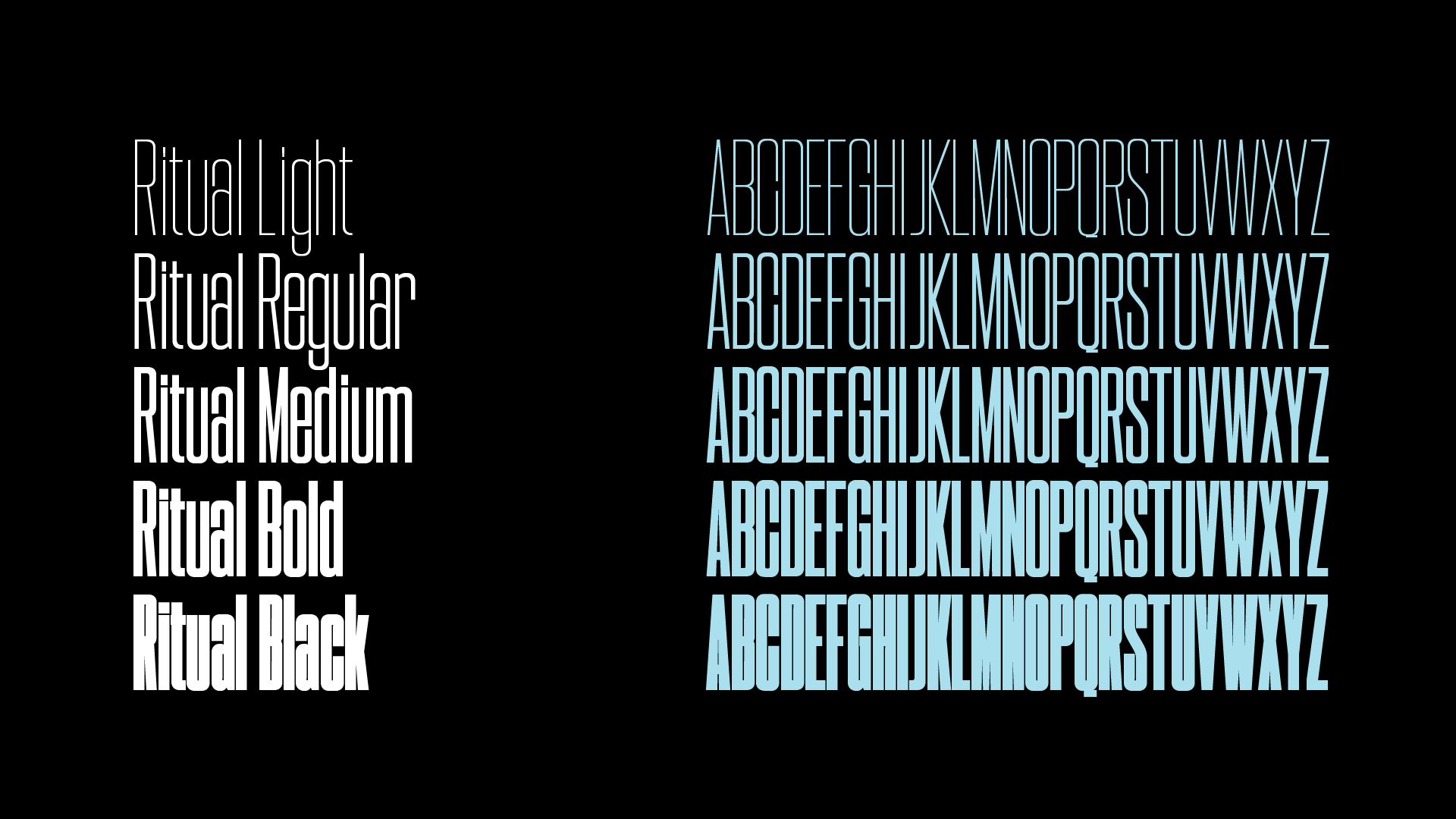 Artboard 1 copy 28.png