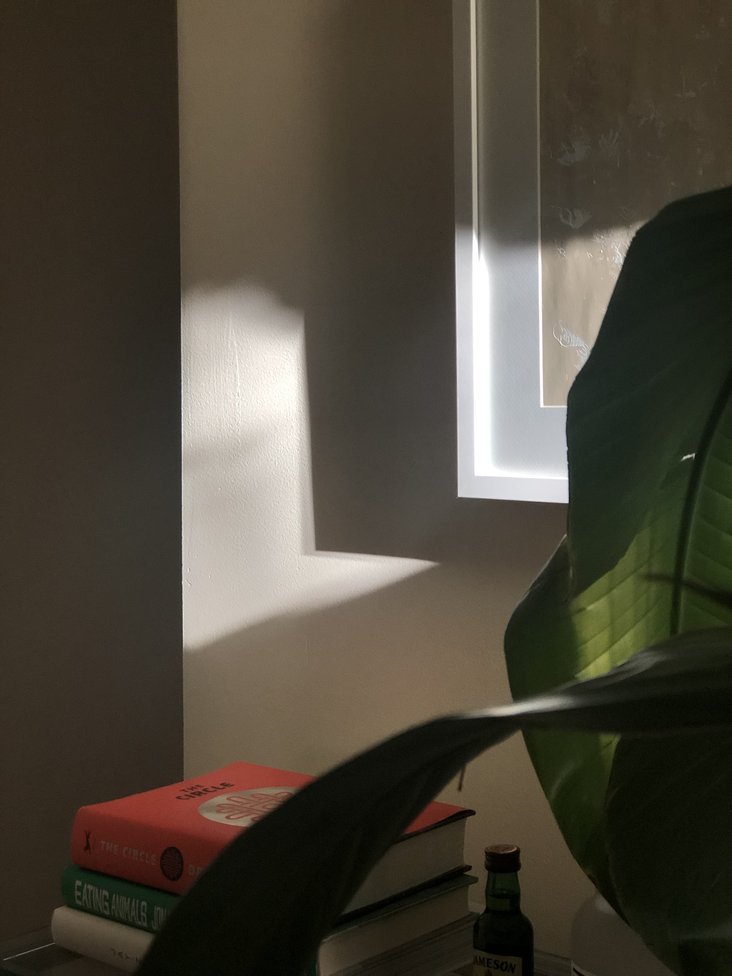 IMG_1810.jpeg