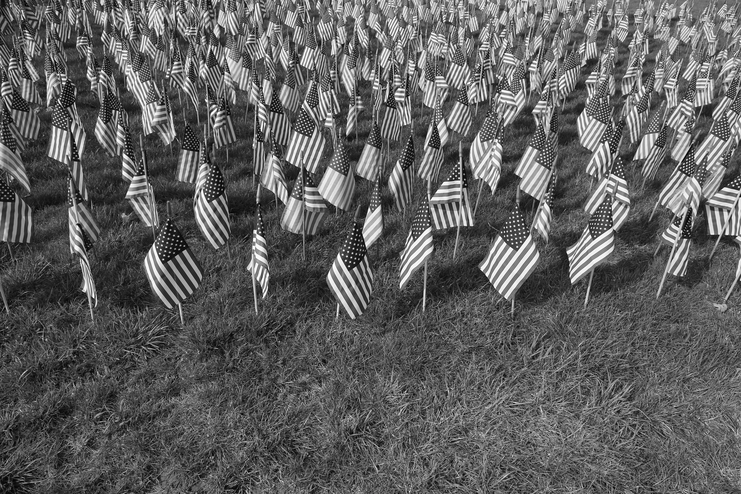 brad fetchin || "flags of fallen - in b&w"