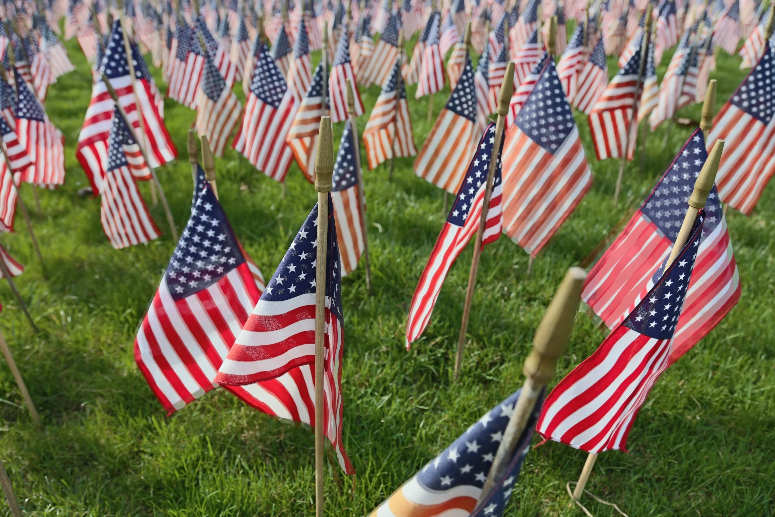 brad fetchin || "flags of fallen - in color"