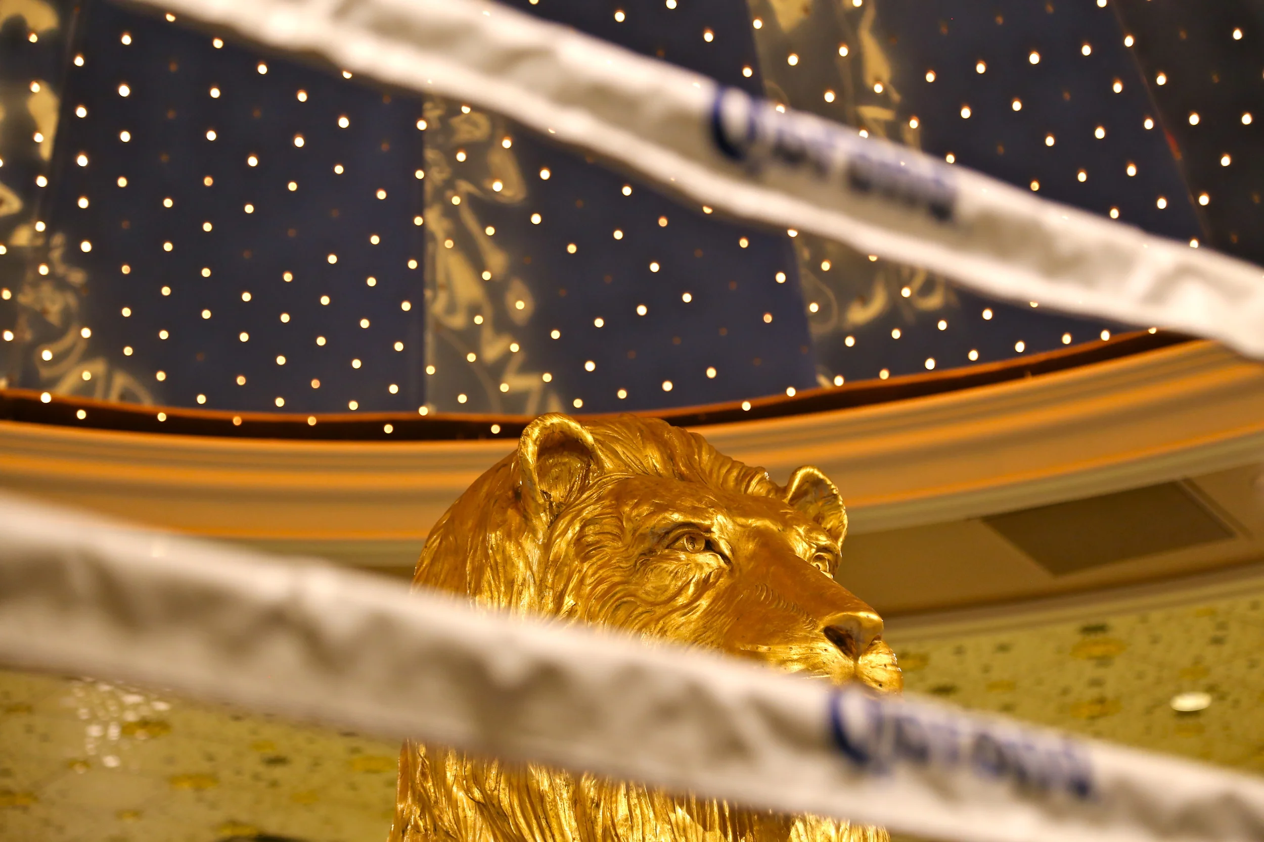 brad fetchin || "let's get ready to..."