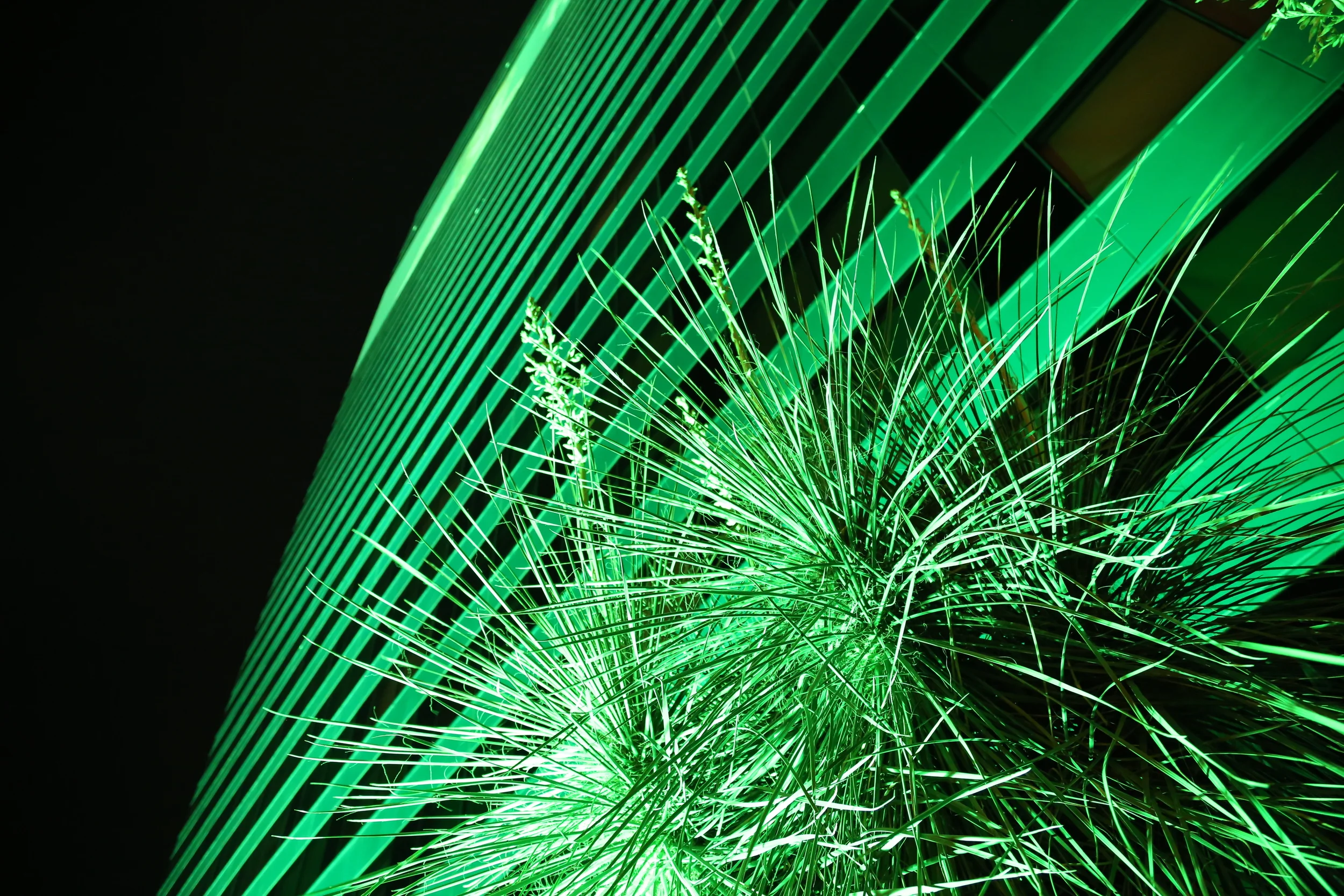 brad fetchin || "mgm"