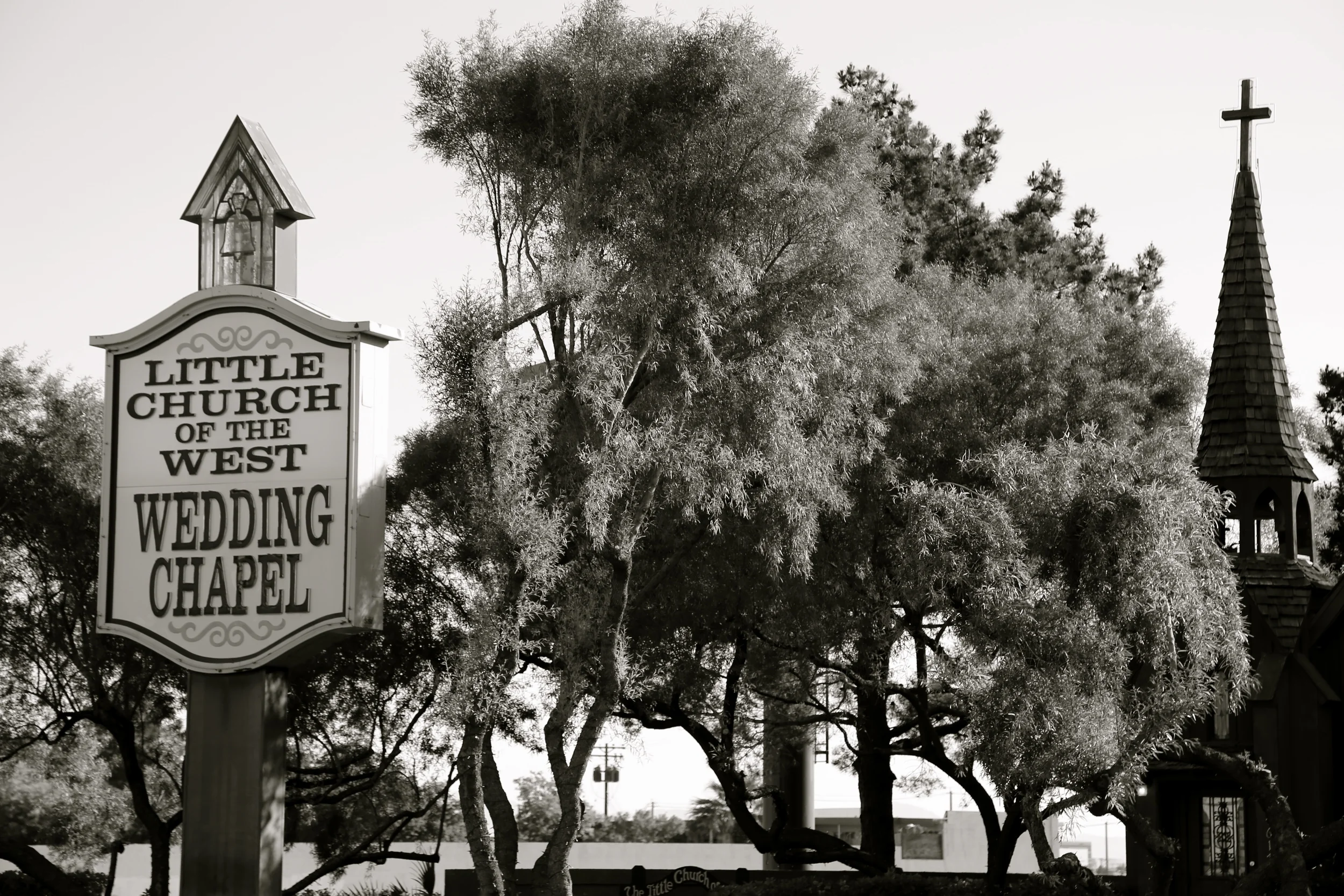 brad fetchin || "let's get married"