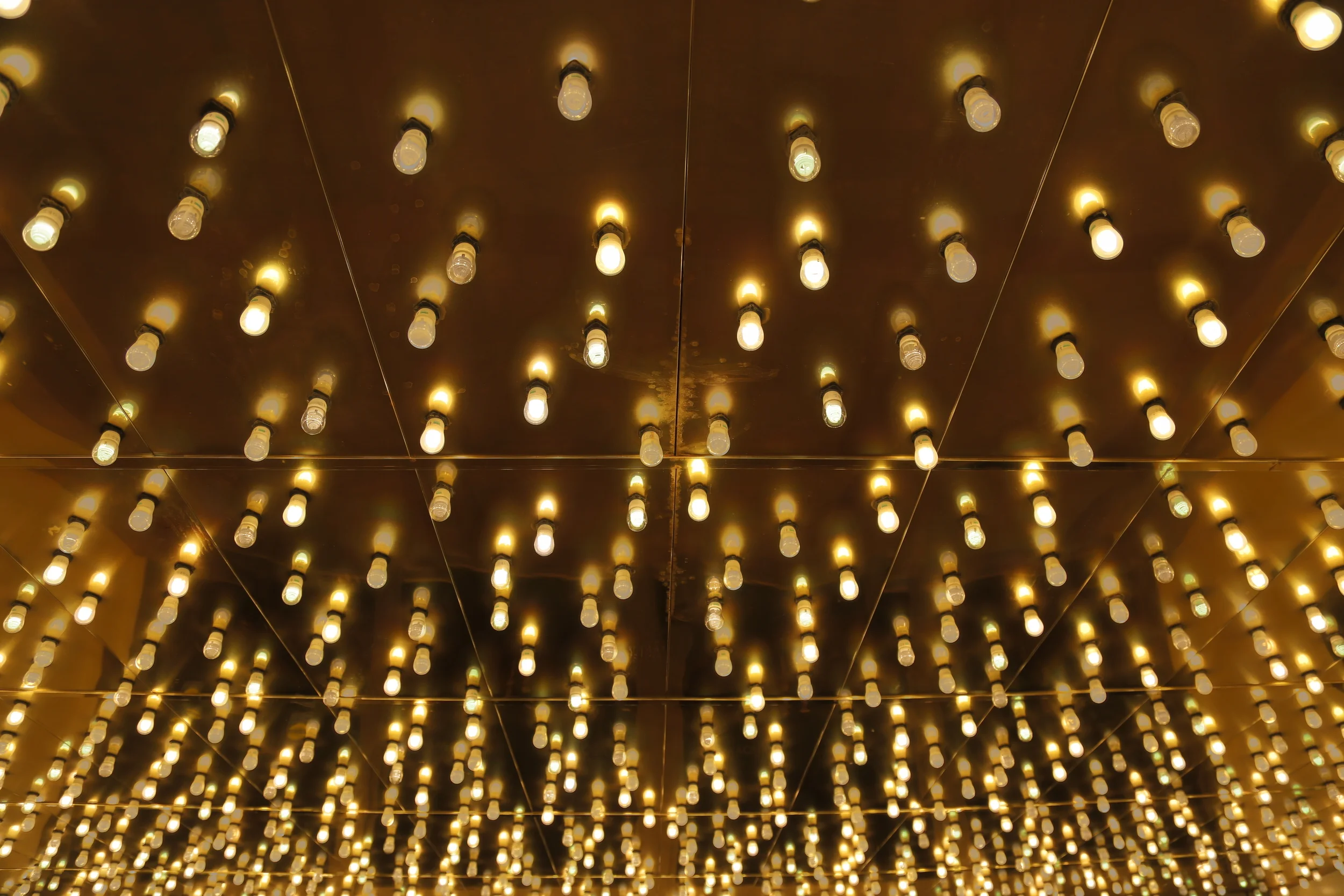 brad fetchin || "lights, lights"