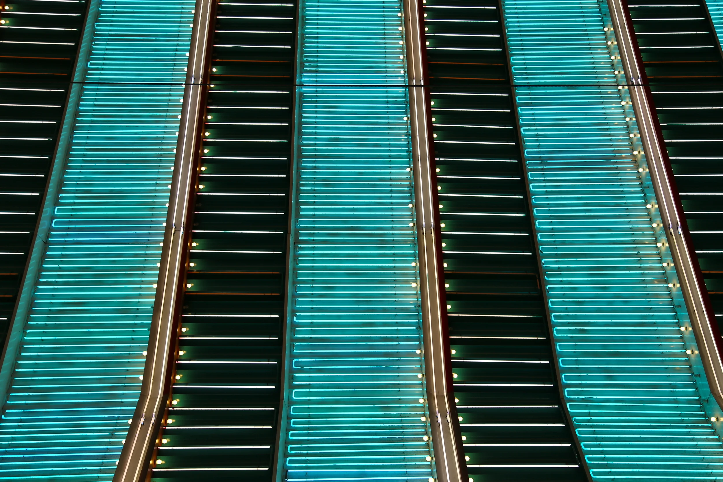 brad fetchin || "binions"