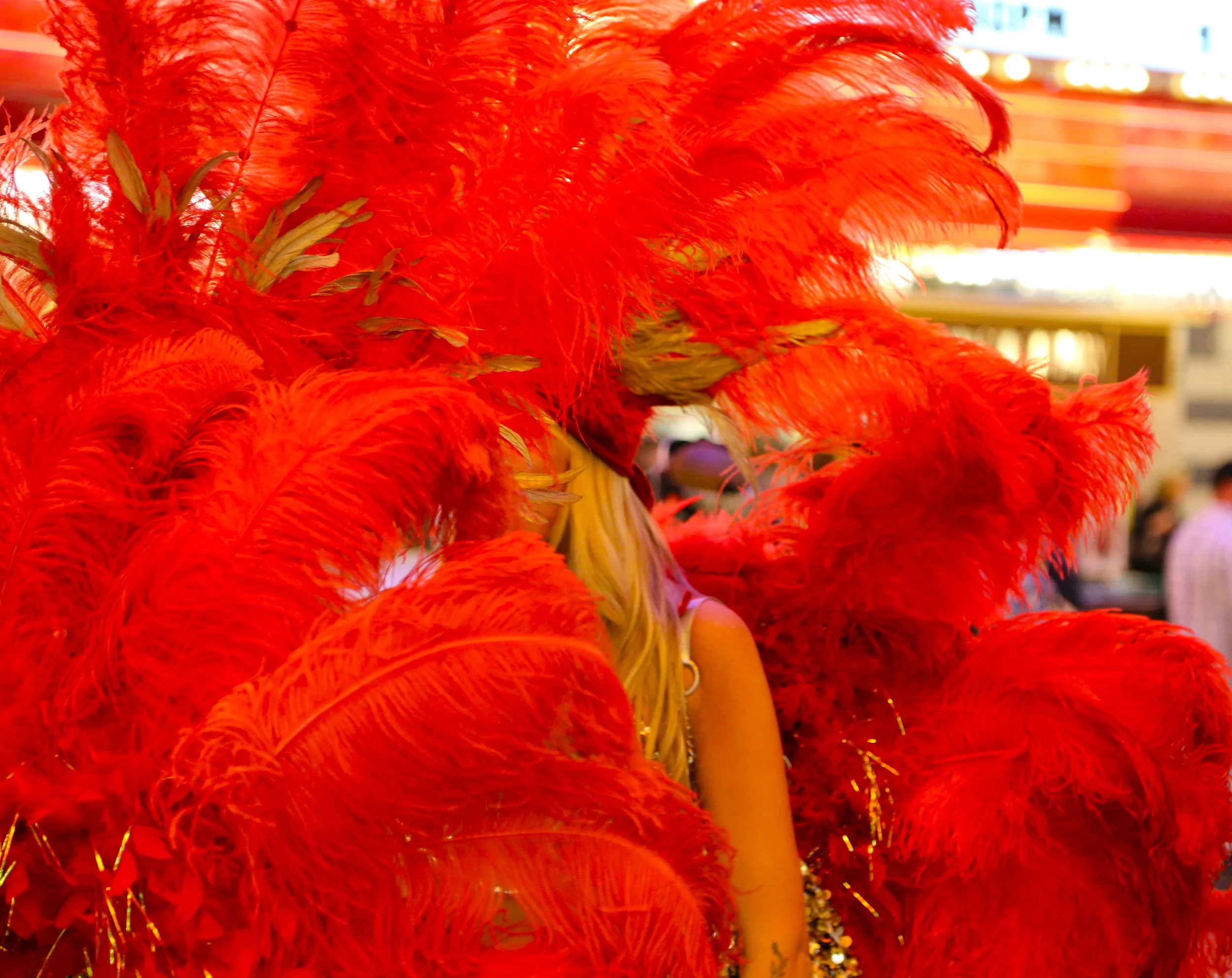 brad fetchin || "old vegas feathers"