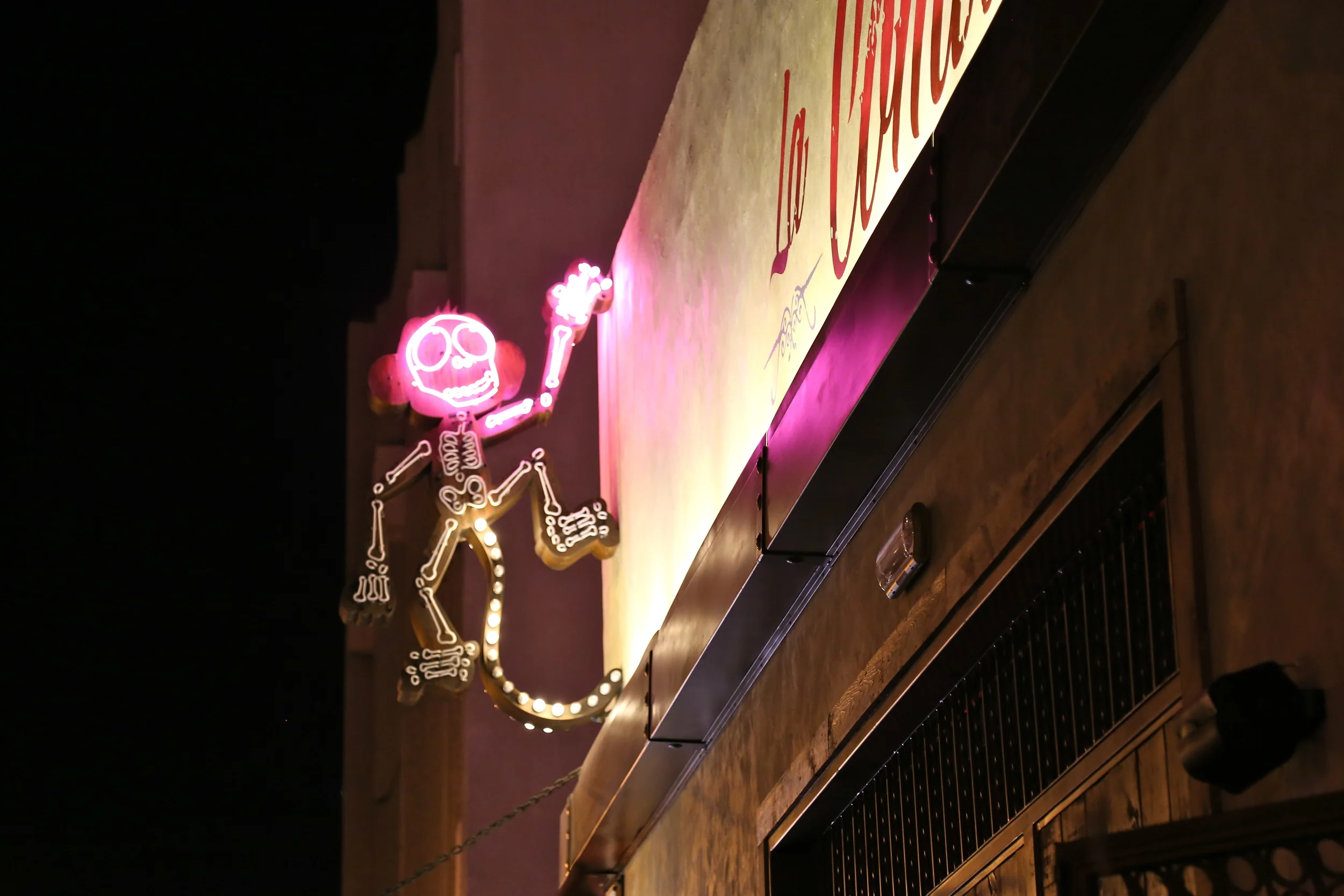 brad fetchin || "neon"