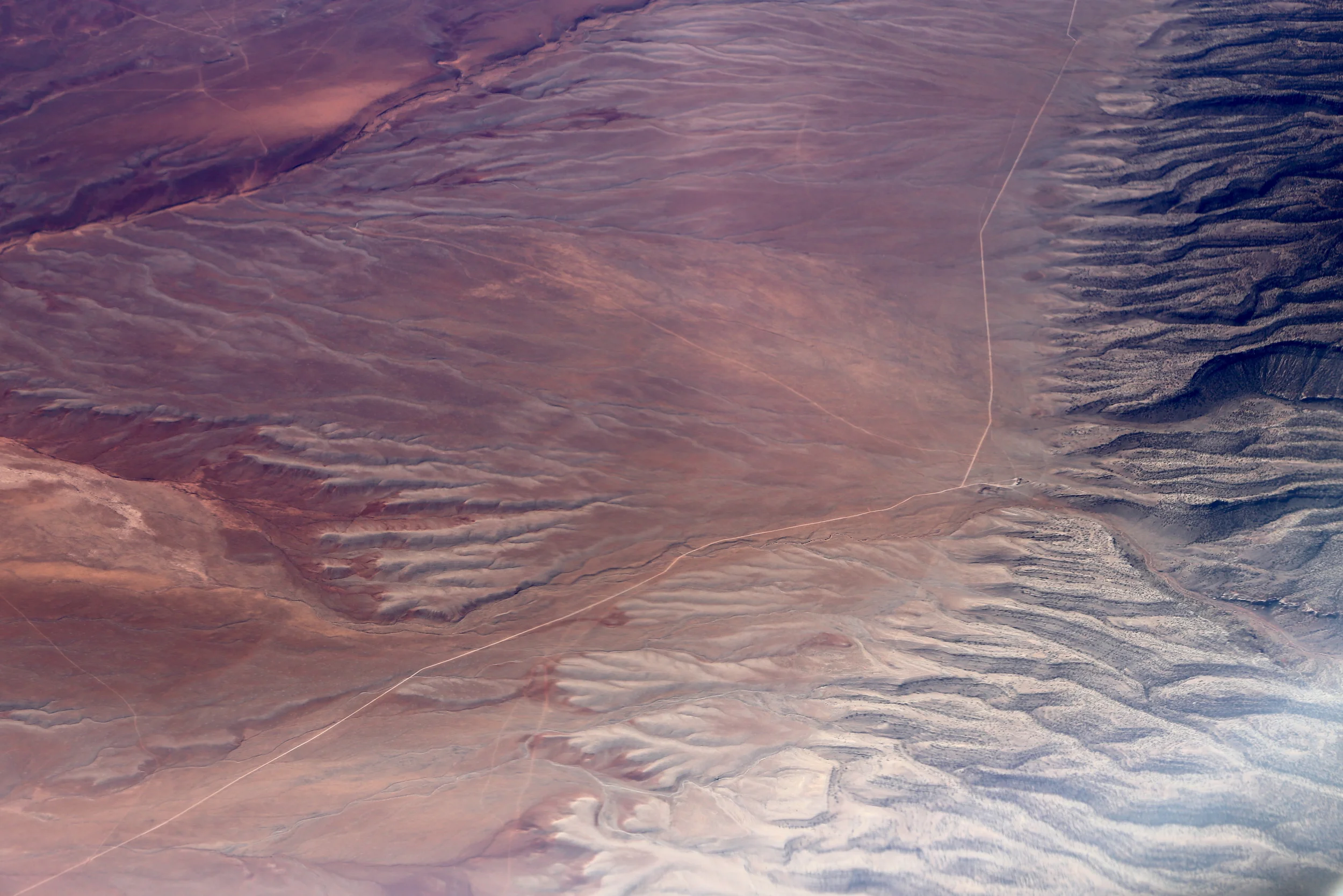 brad fetchin || "desert"