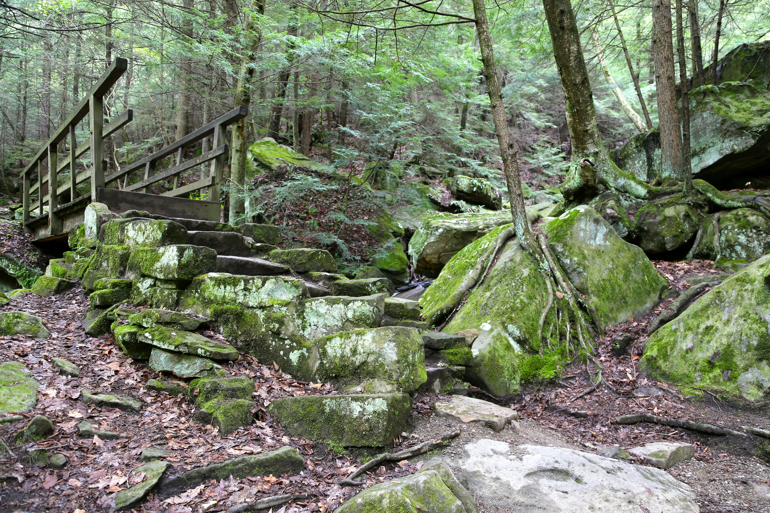 brad fetchin || "mcconnells mill #1"