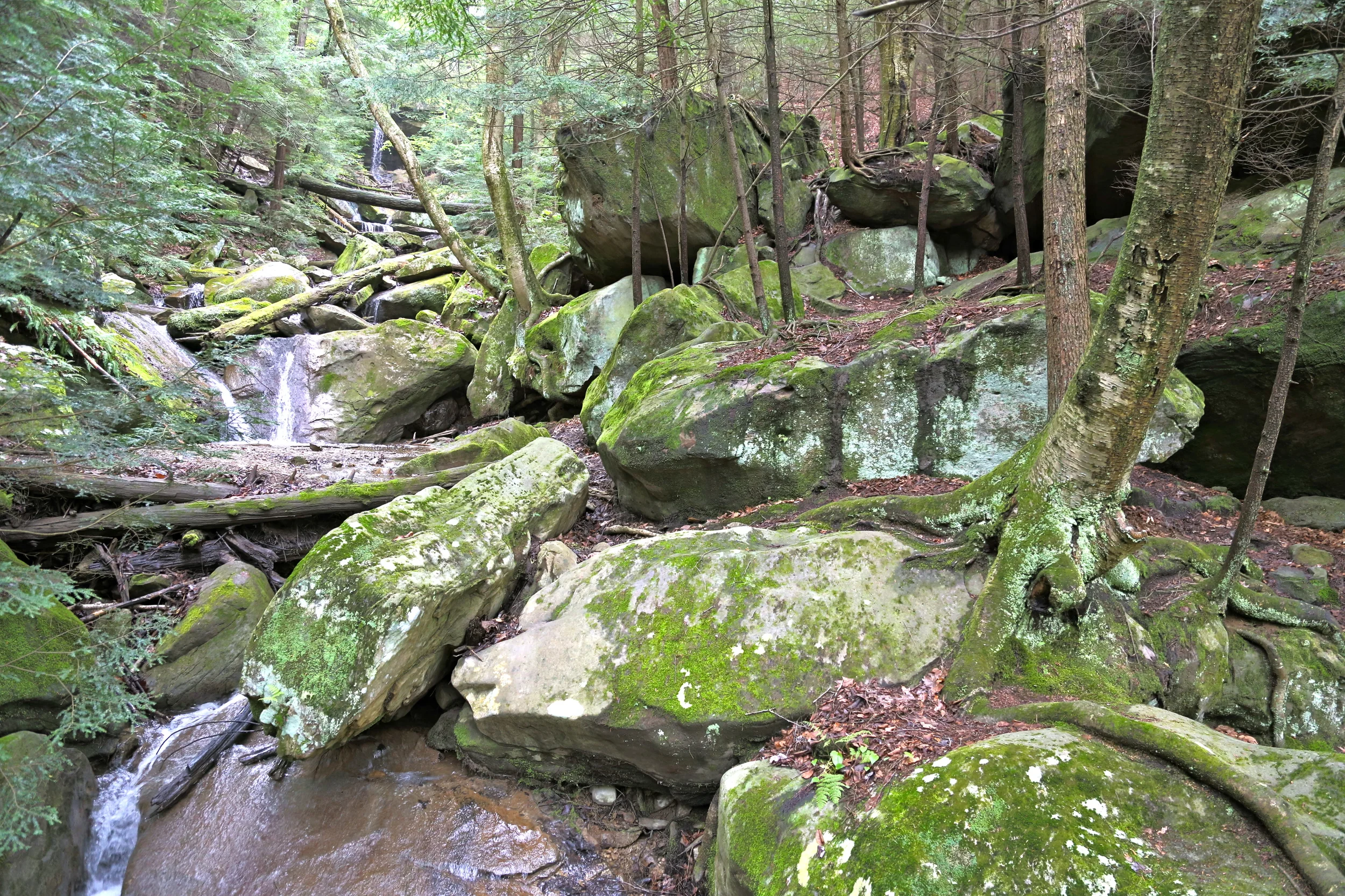 brad fetchin || "mcconnells mill #11"