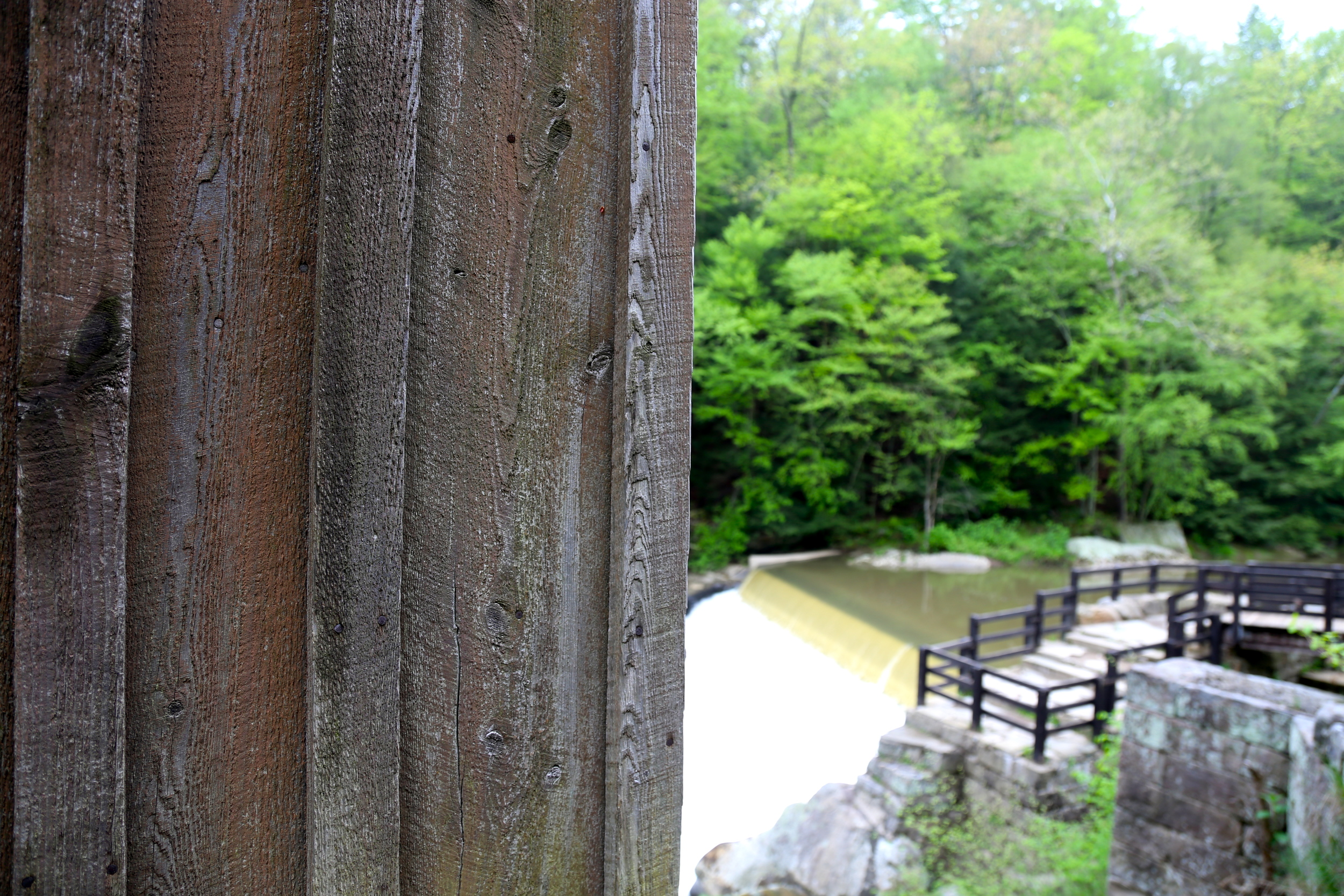 brad fetchin || "mcconnells mill #9"