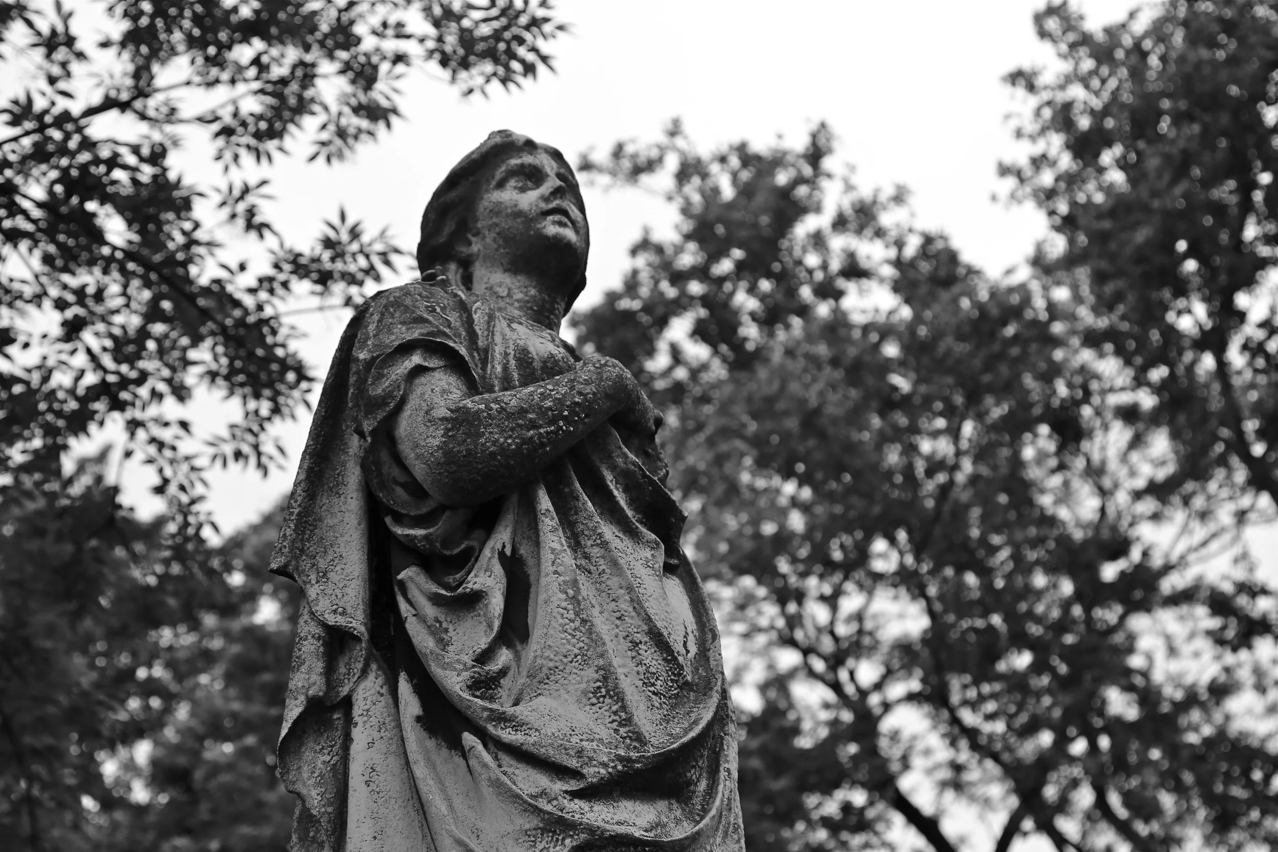 brad fetchin || "allegheny cemetery #5"