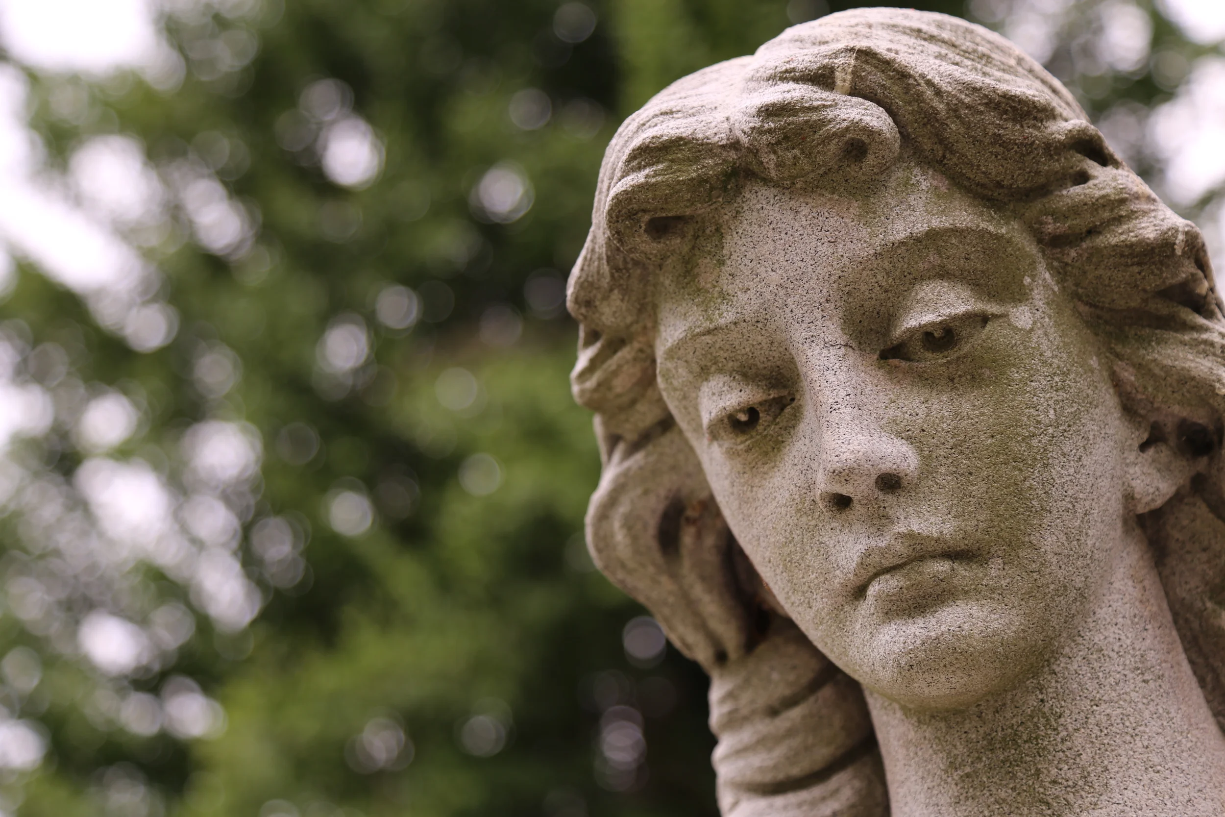 brad fetchin || "allegheny cemetery #1"