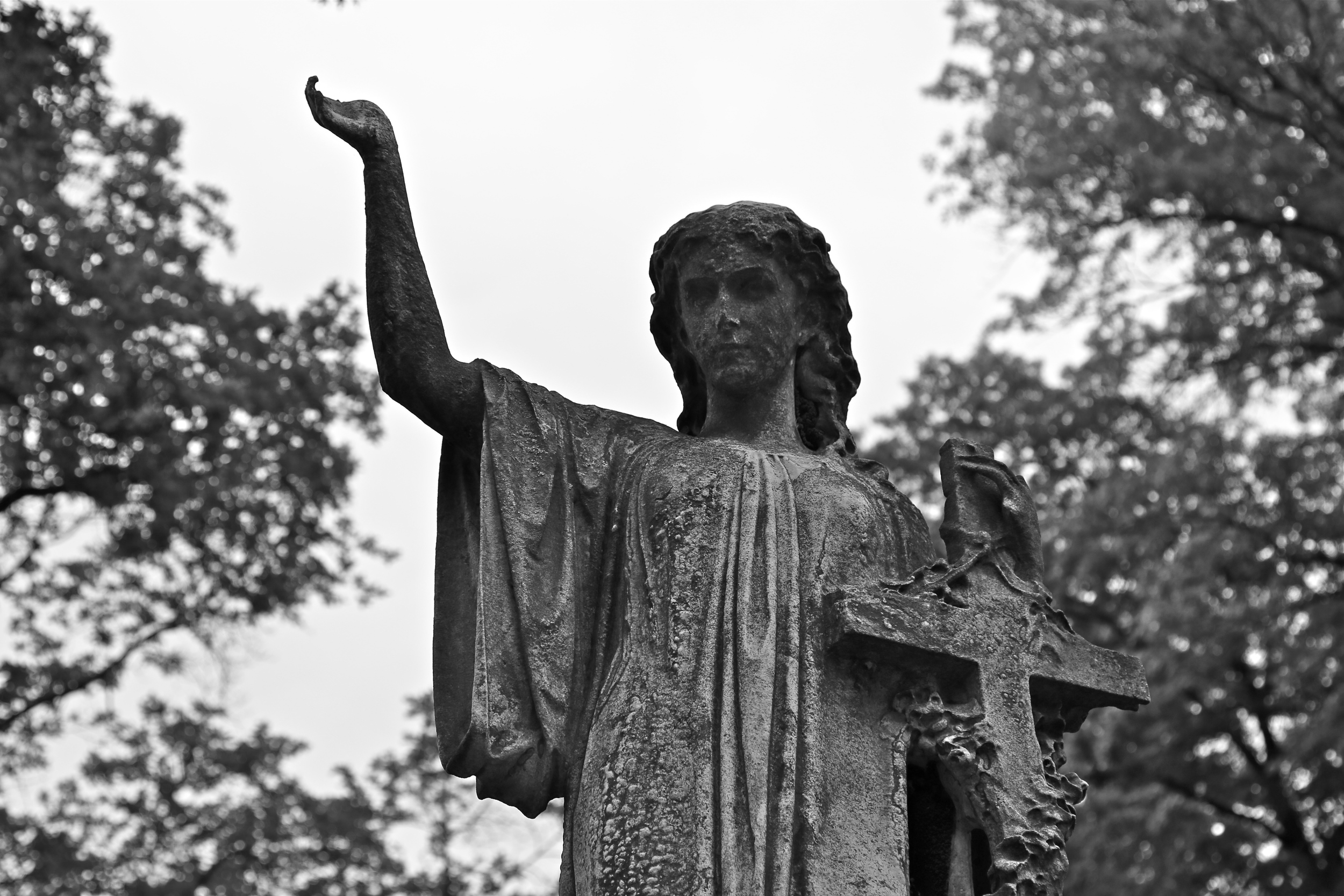 brad fetchin || "allegheny cemetery #9"