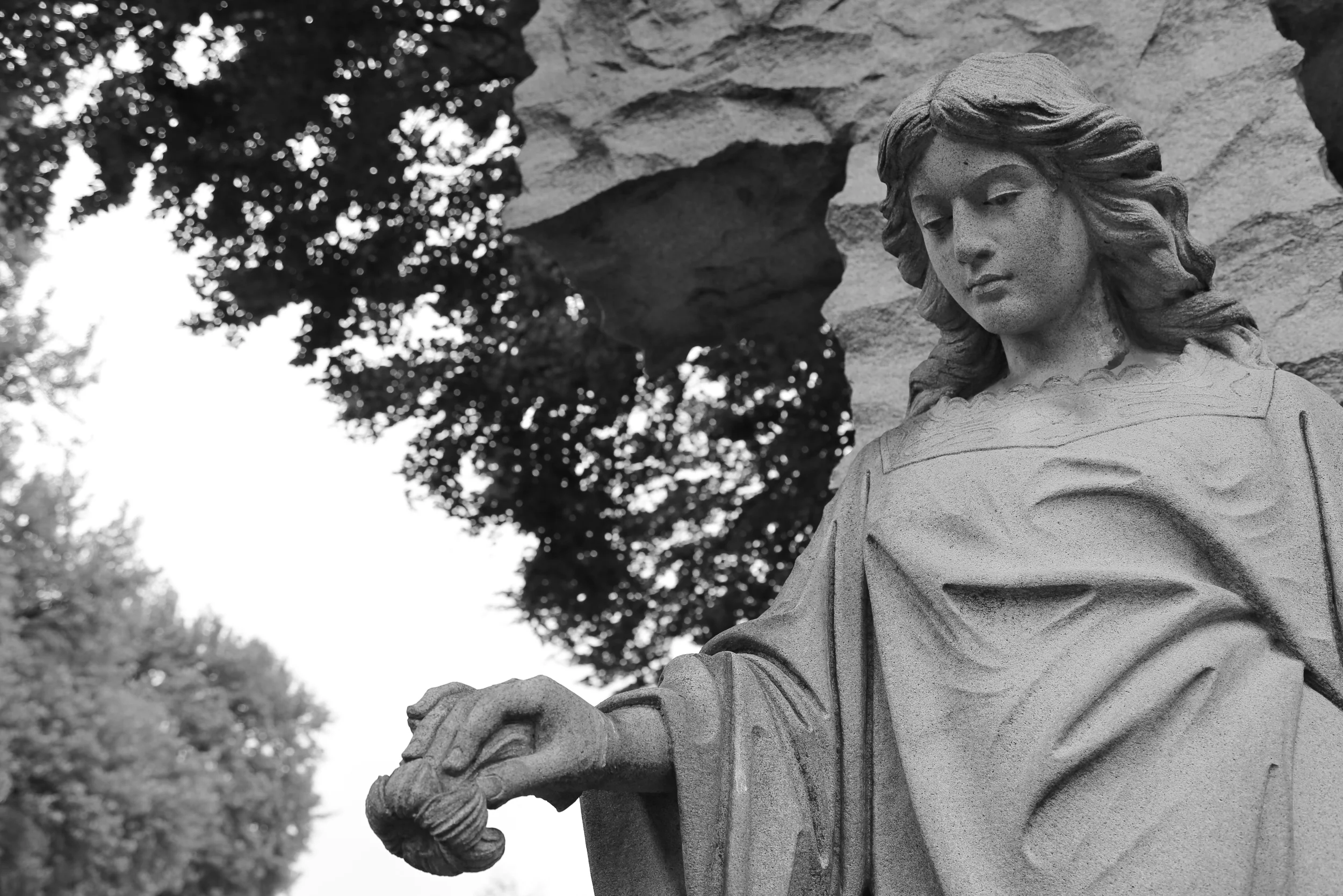 brad fetchin || "allegheny cemetery #7"