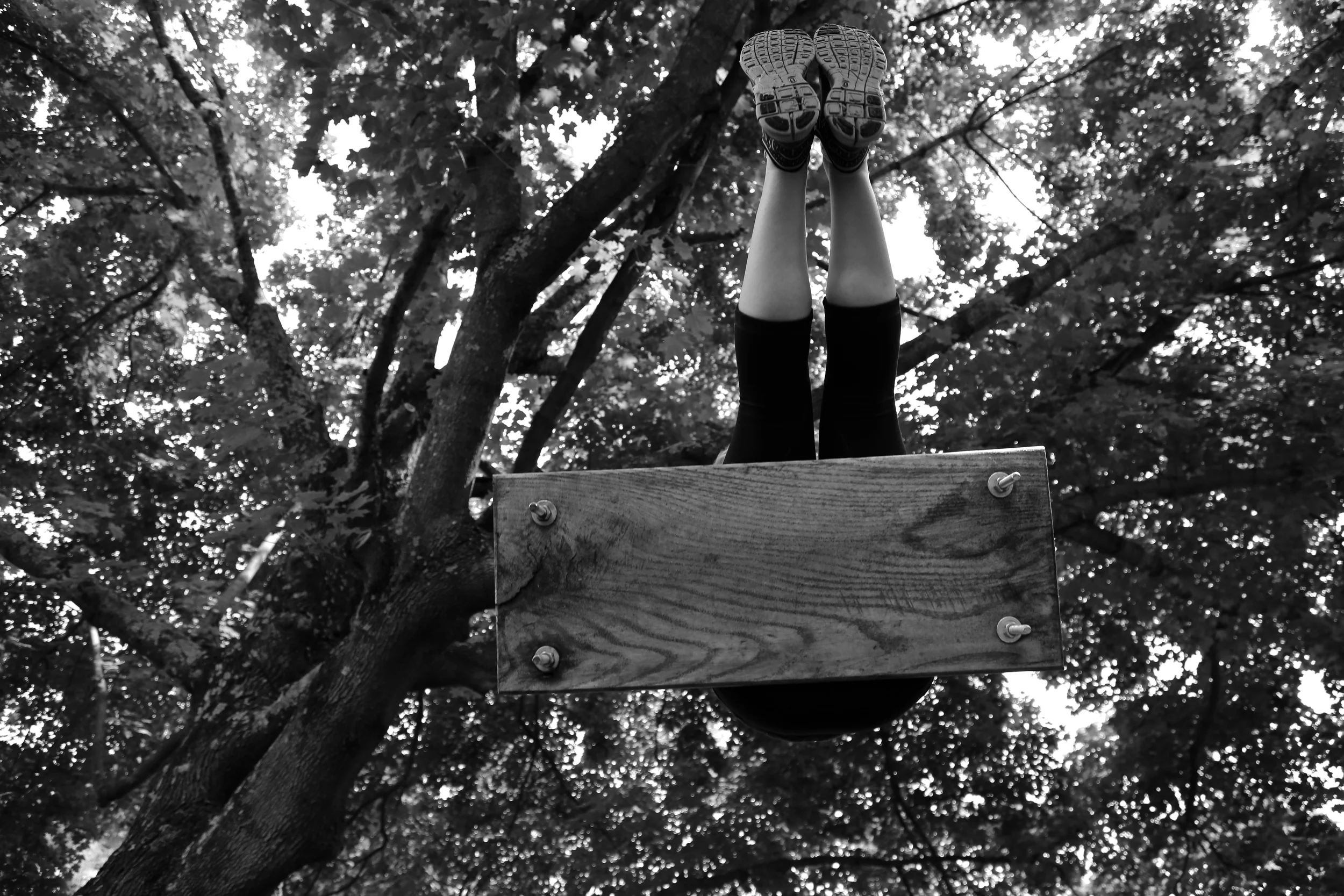 brad fetchin || "tree swing"