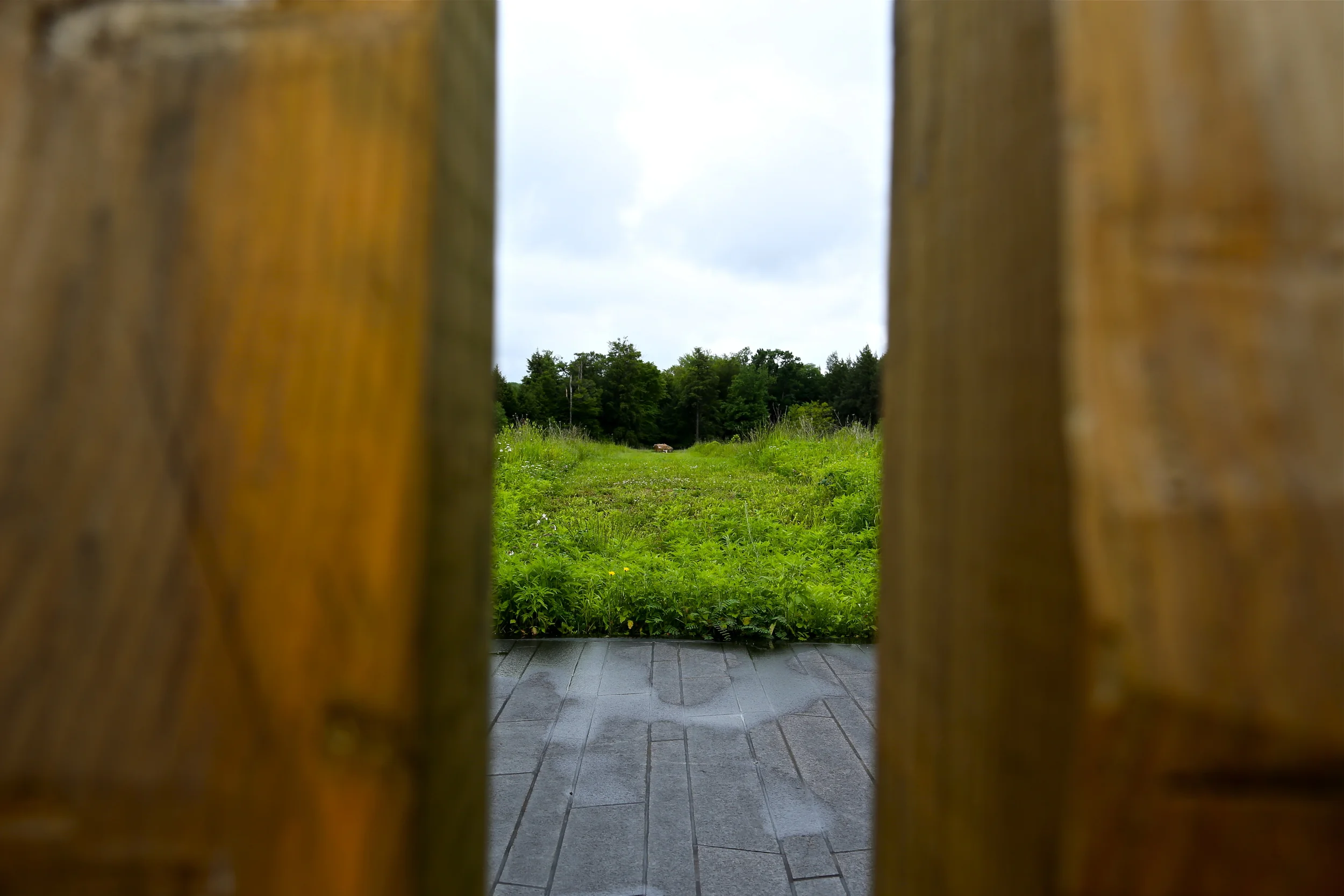 brad fetchin || "flight 93 #1"