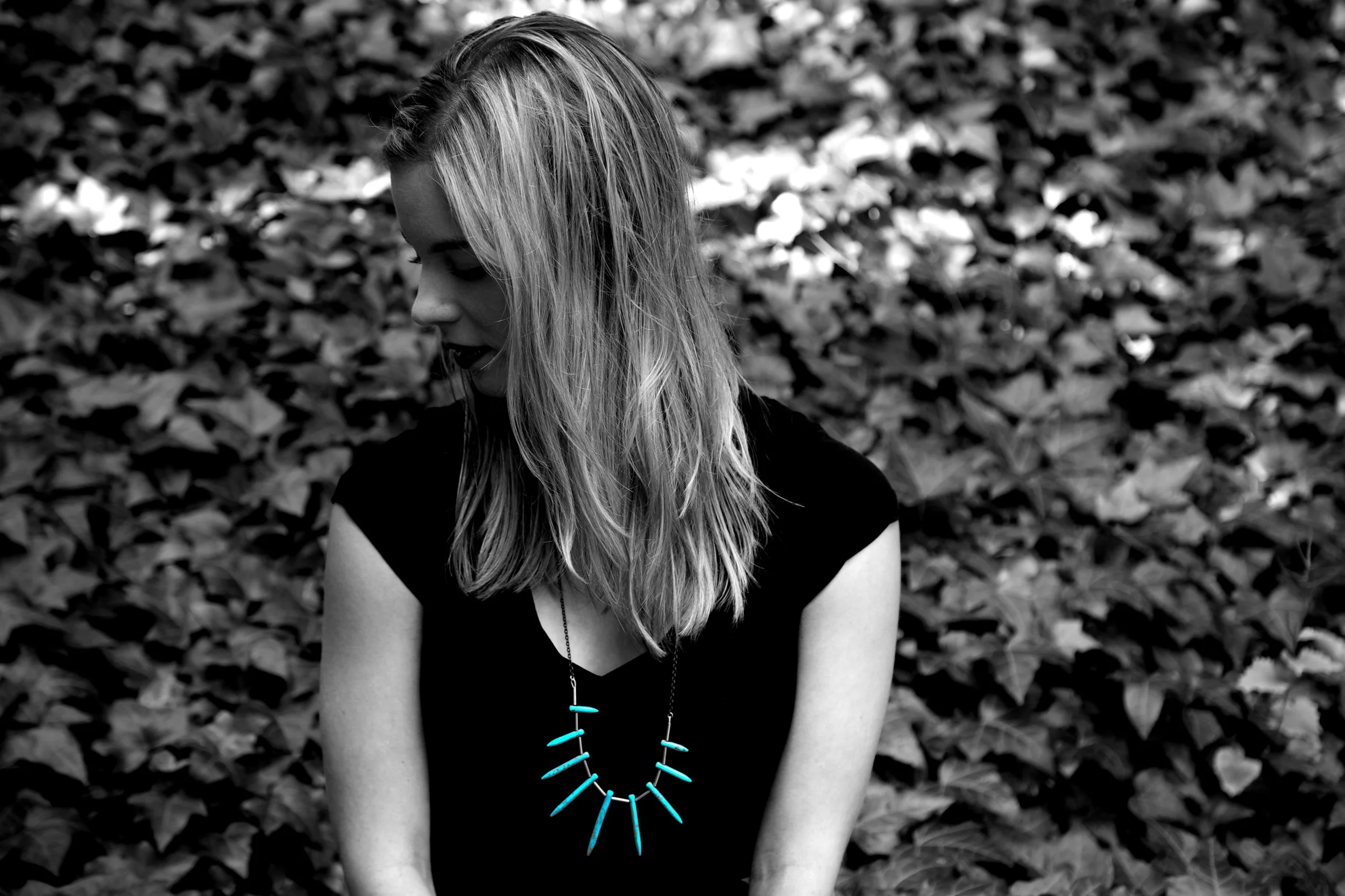 brad fetchin || "teal"