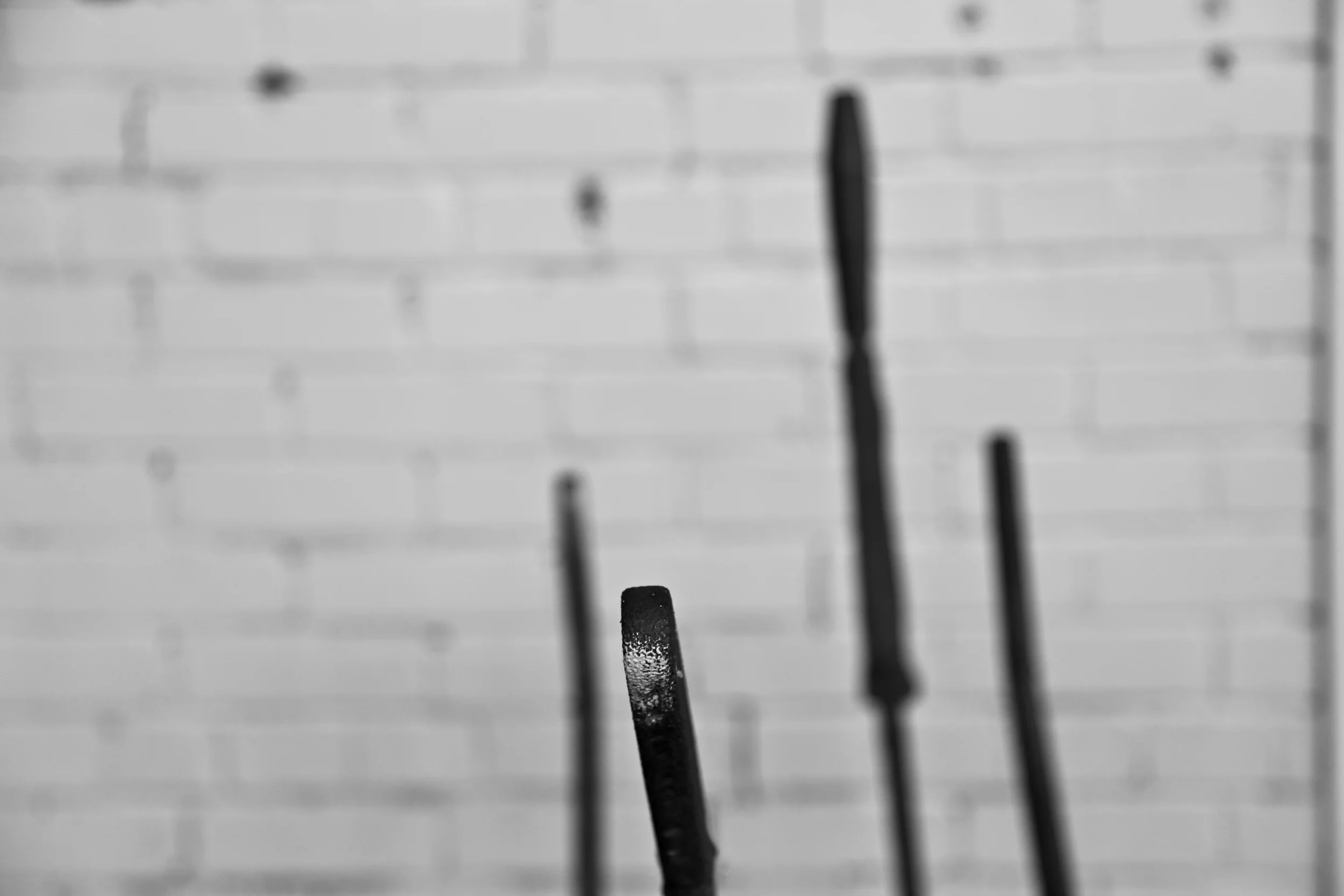 brad fetchin || "lever"