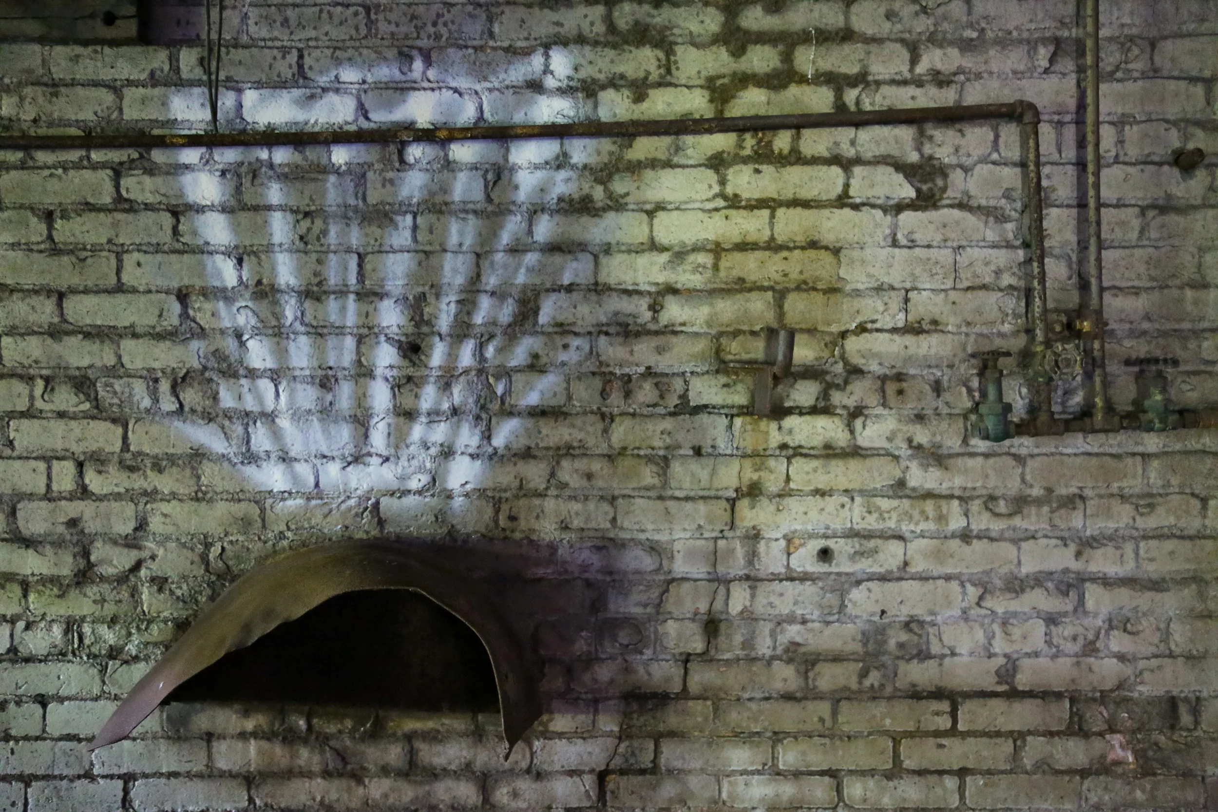 brad fetchin || "here"