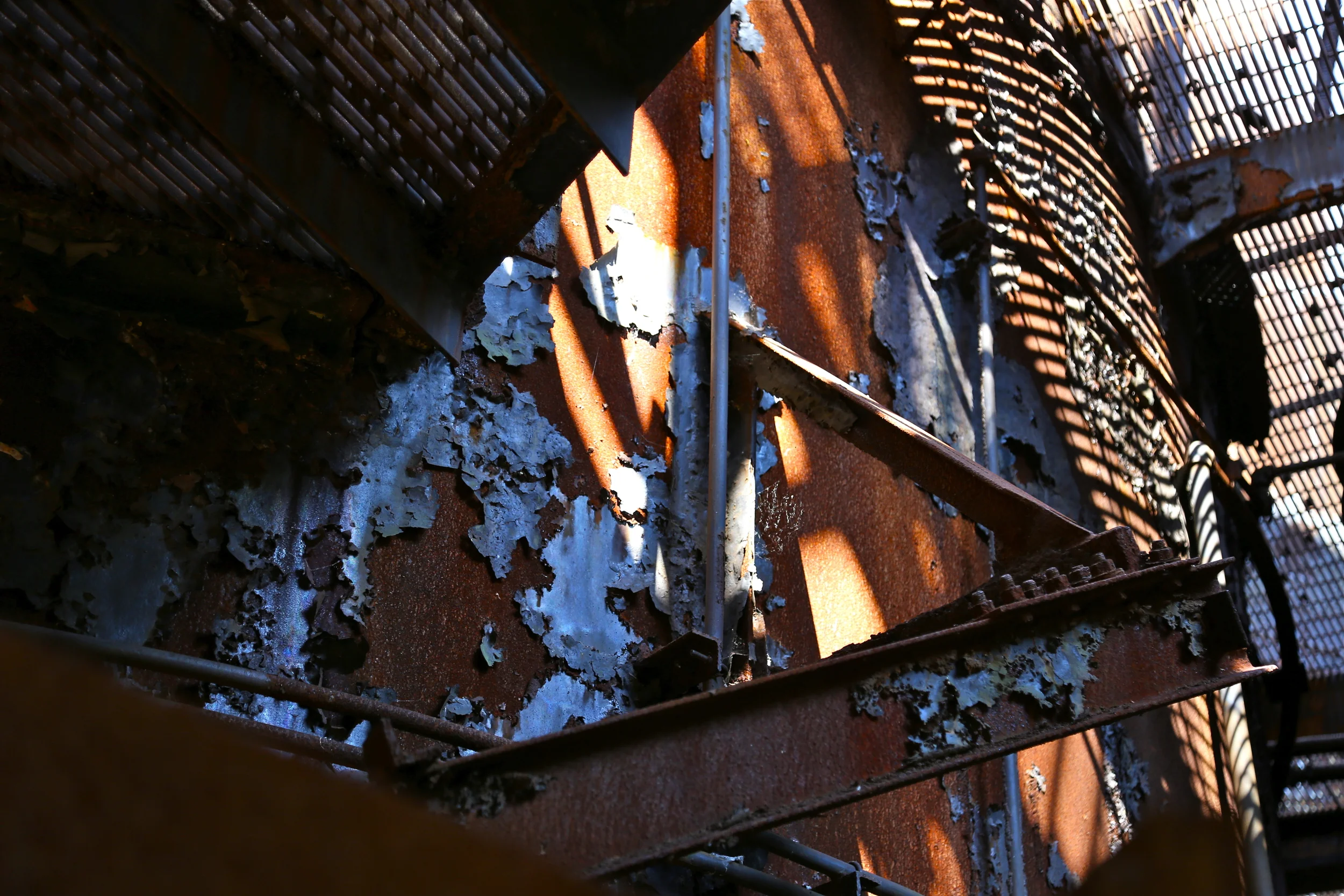 brad fetchin || "grid"