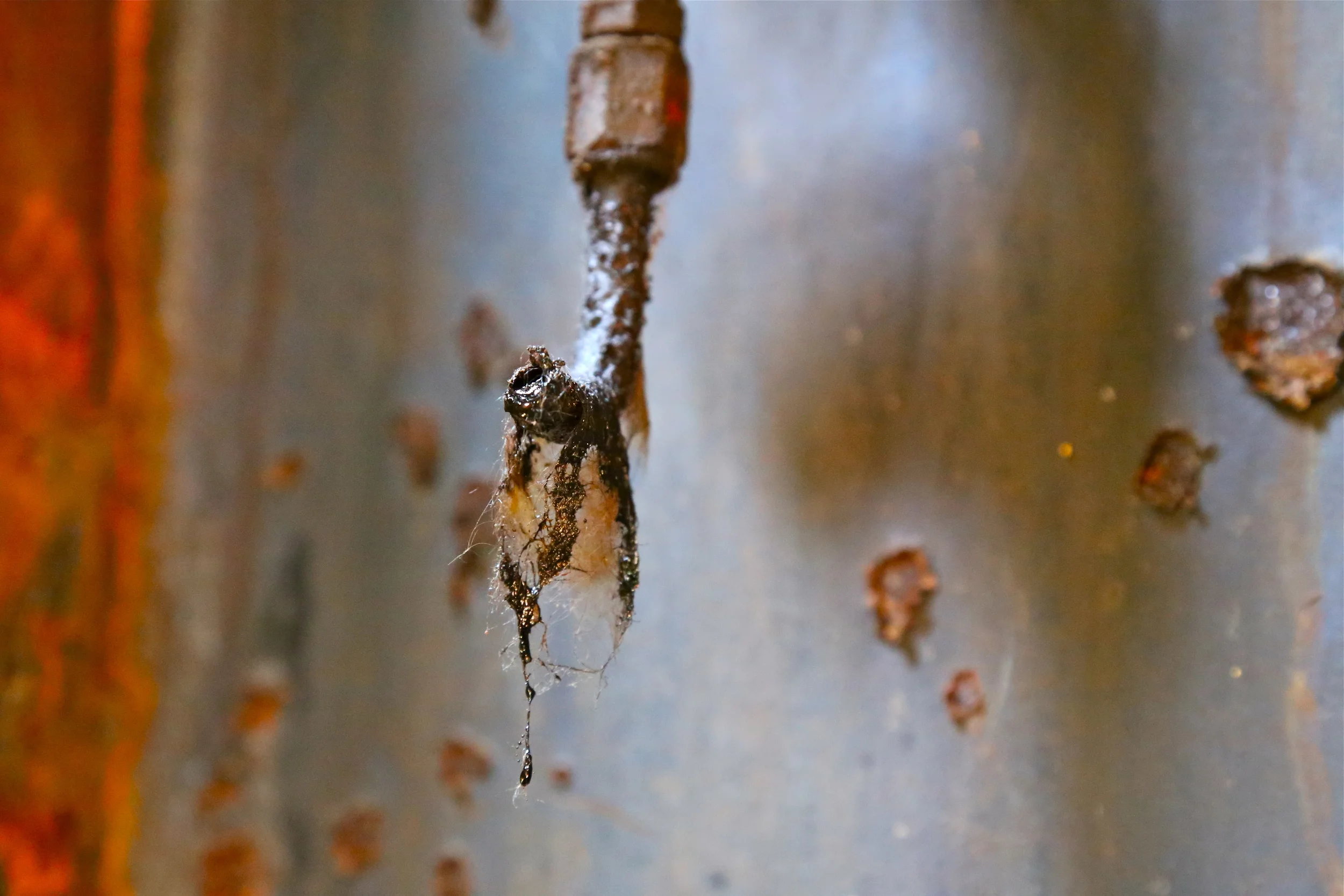 brad fetchin || "oil pipe"