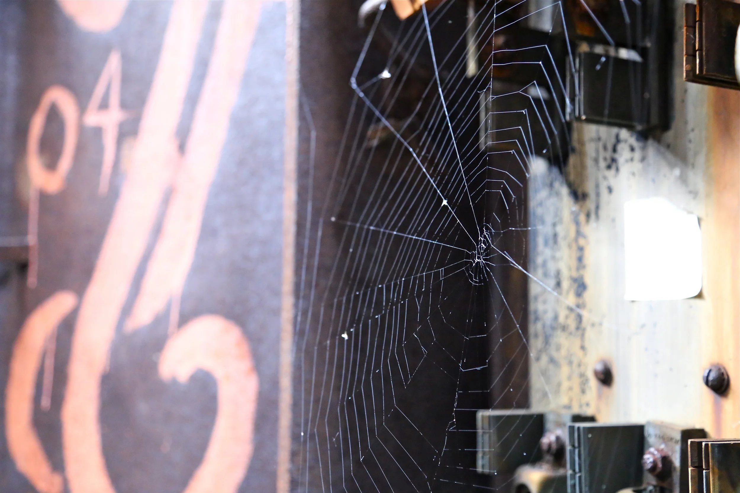 brad fetchin || "web"