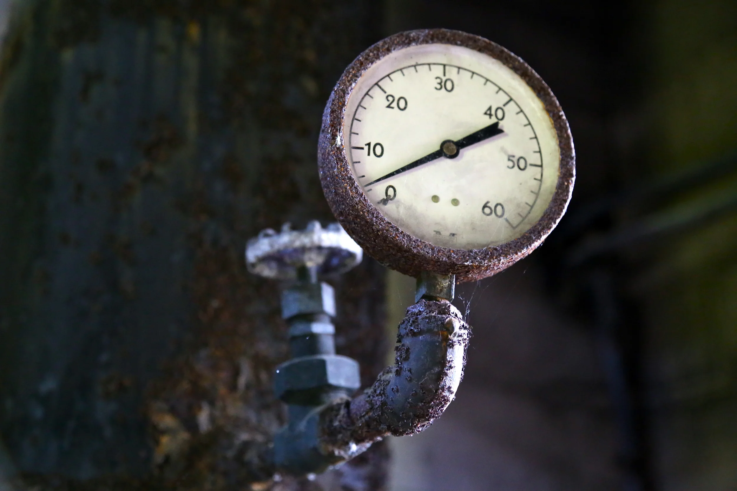 brad fetchin || "measured still"