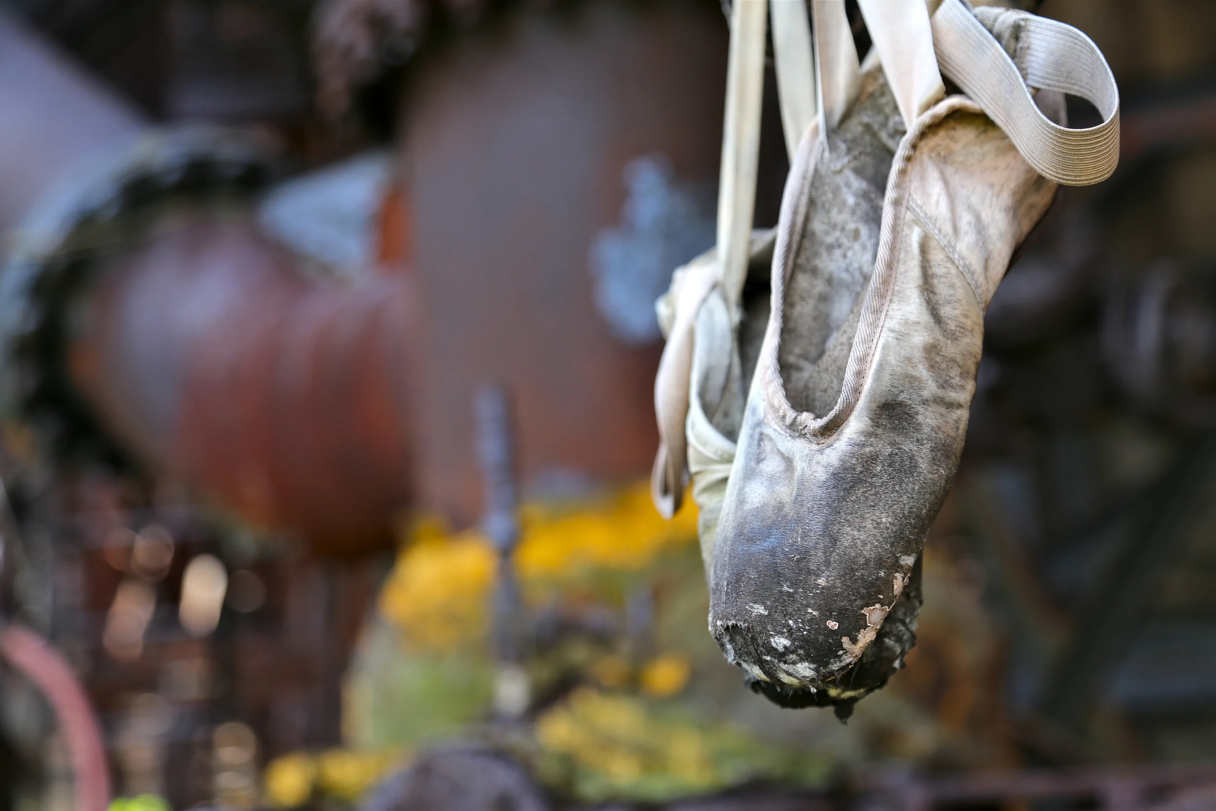 brad fetchin || "corrosion"