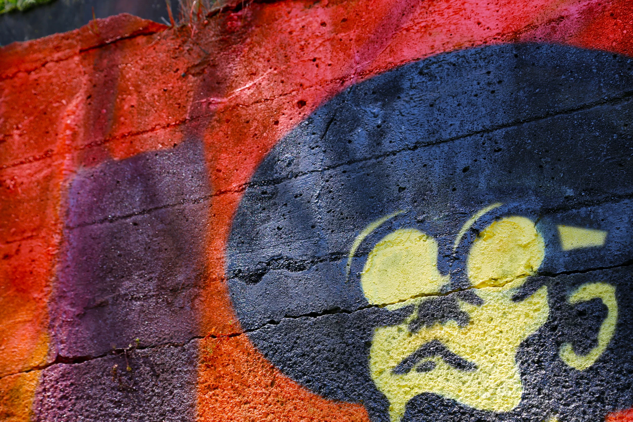 brad fetchin || "keeping an eye out"