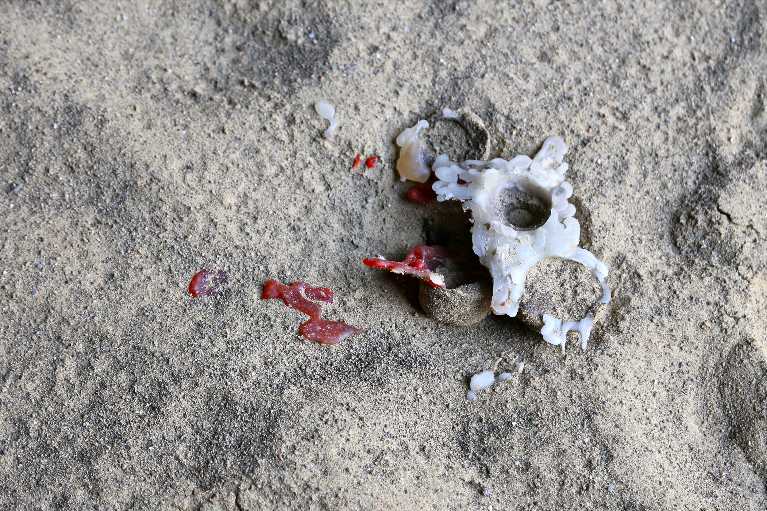 brad fetchin || "vigil"