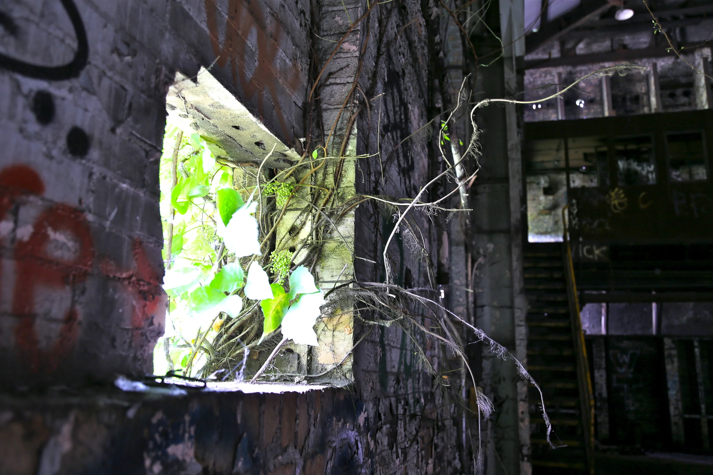 brad fetchin || "inside #4"