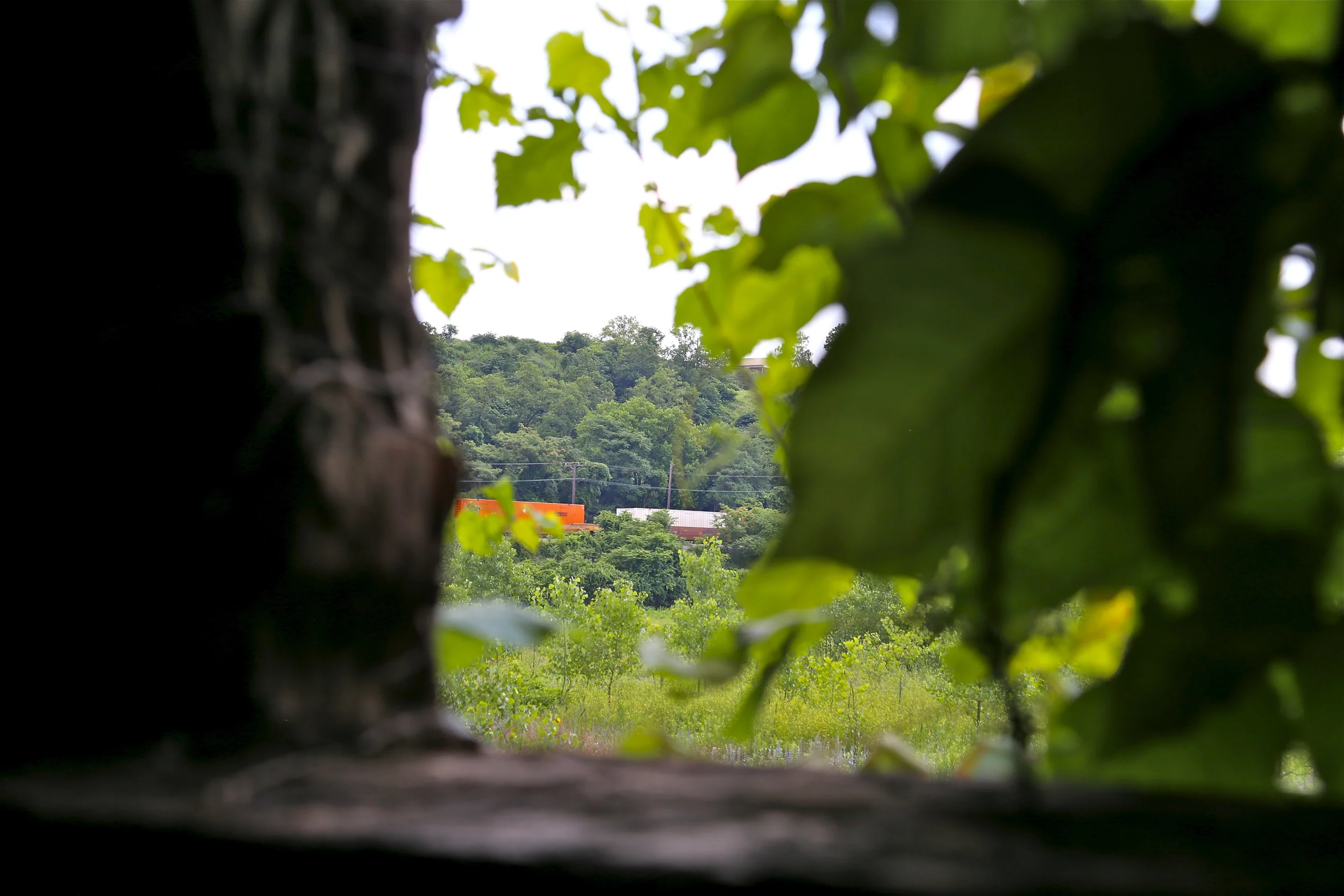 brad fetchin || "inside #5"