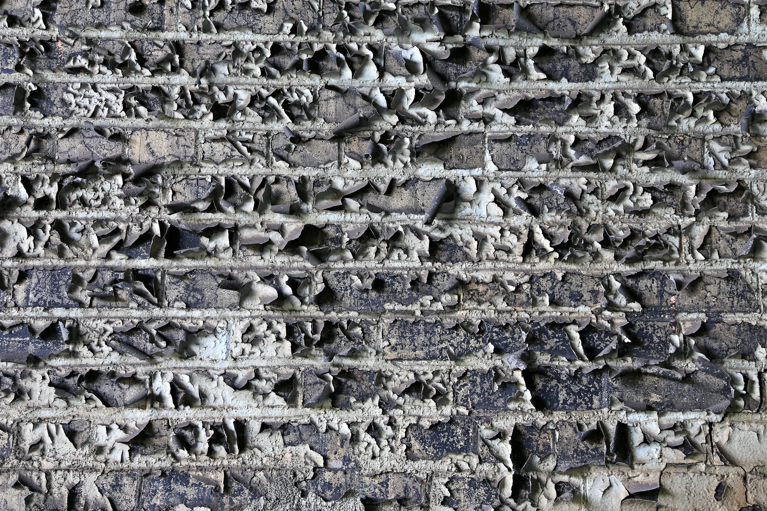 brad fetchin || "inside #7"