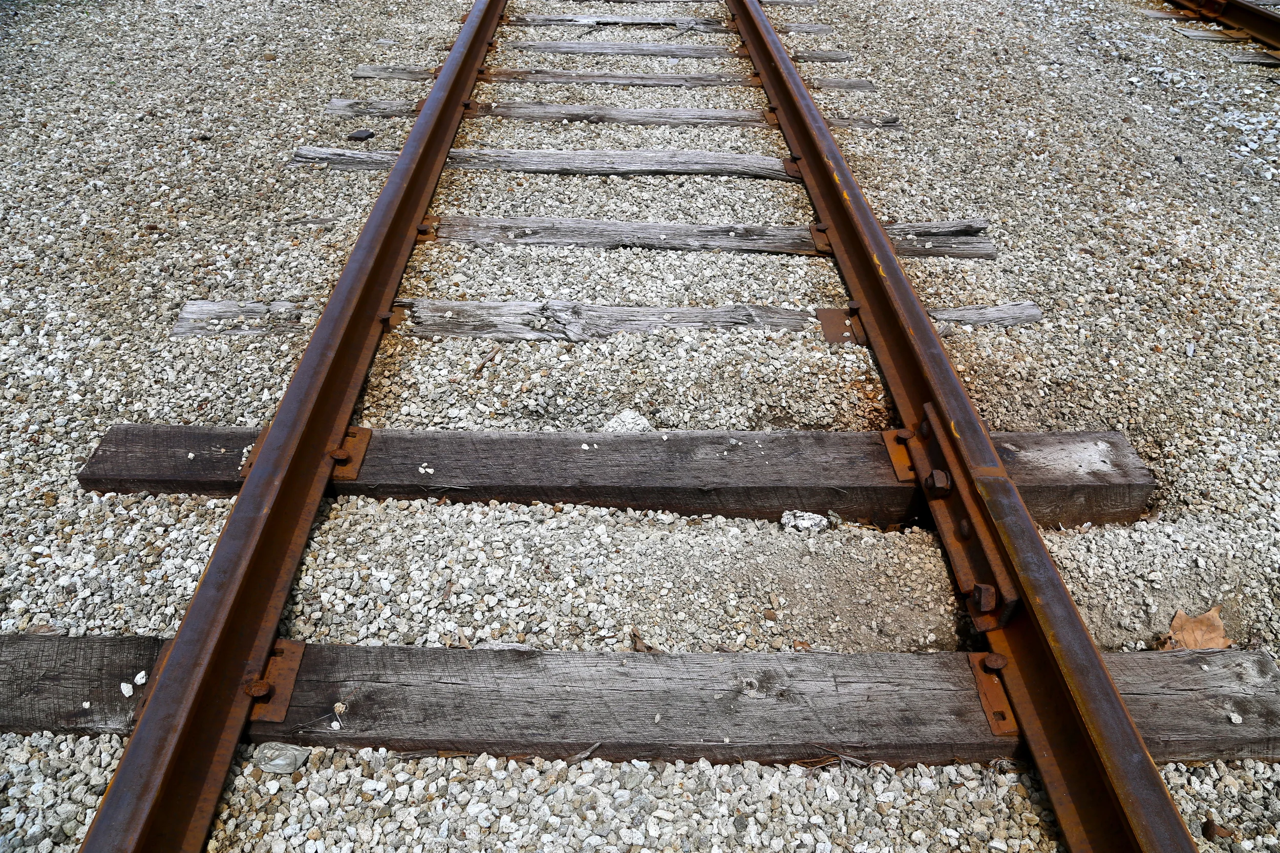 brad fetchin || "weathered tracks"