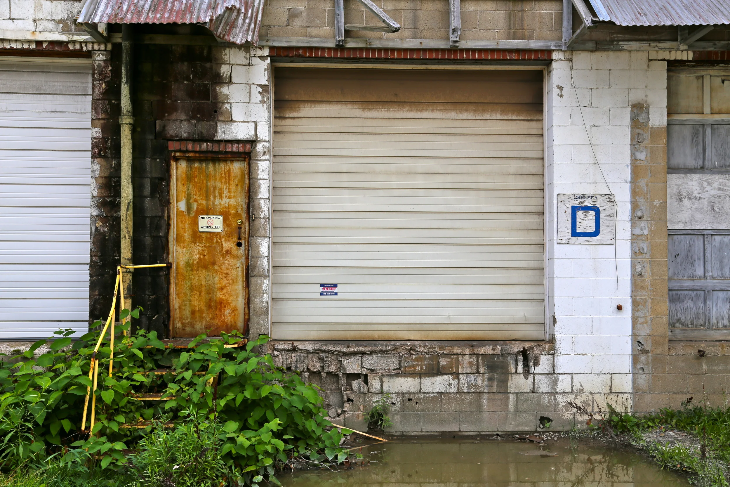 brad fetchin || "forgotten dock #1"