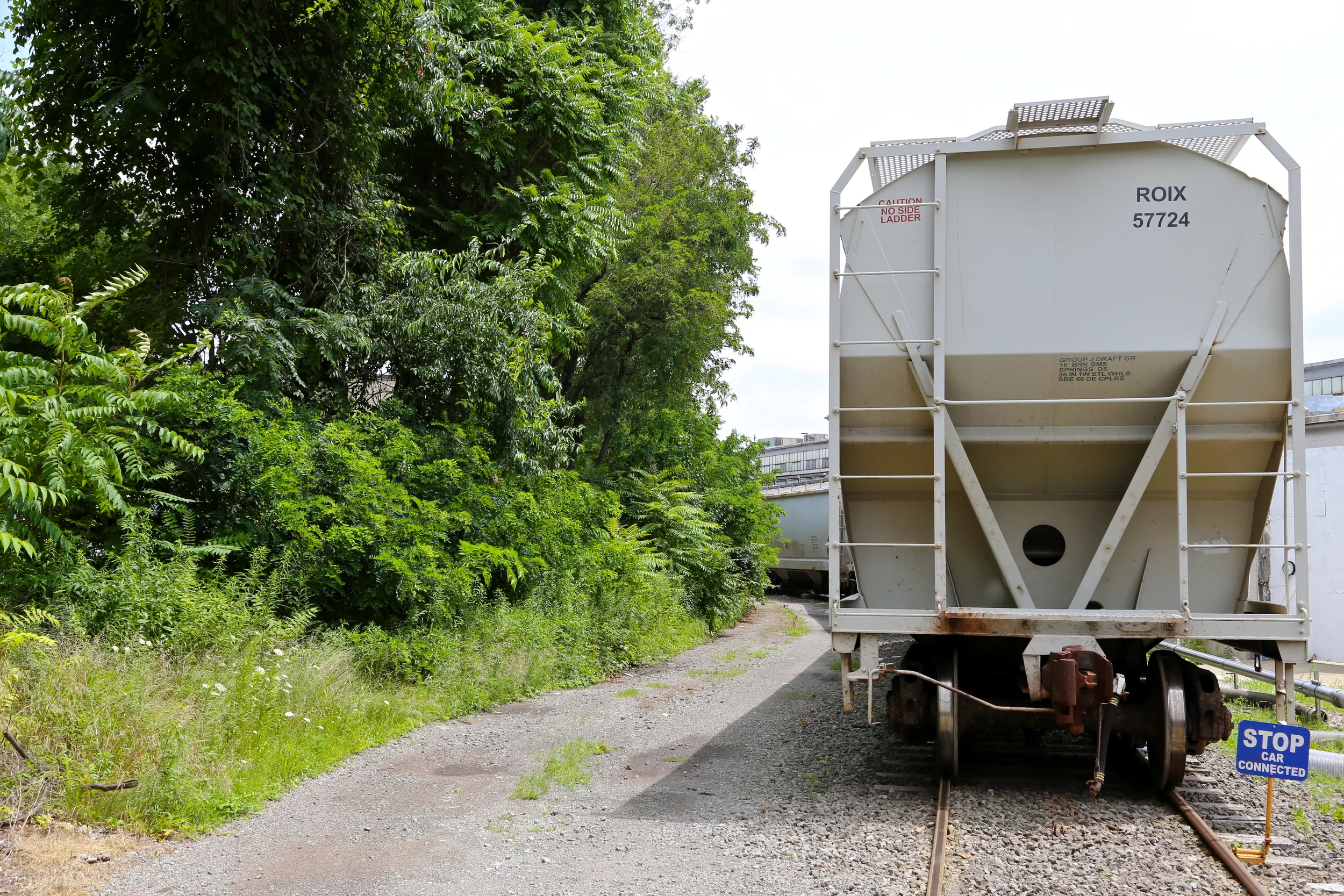 brad fetchin || "bend"