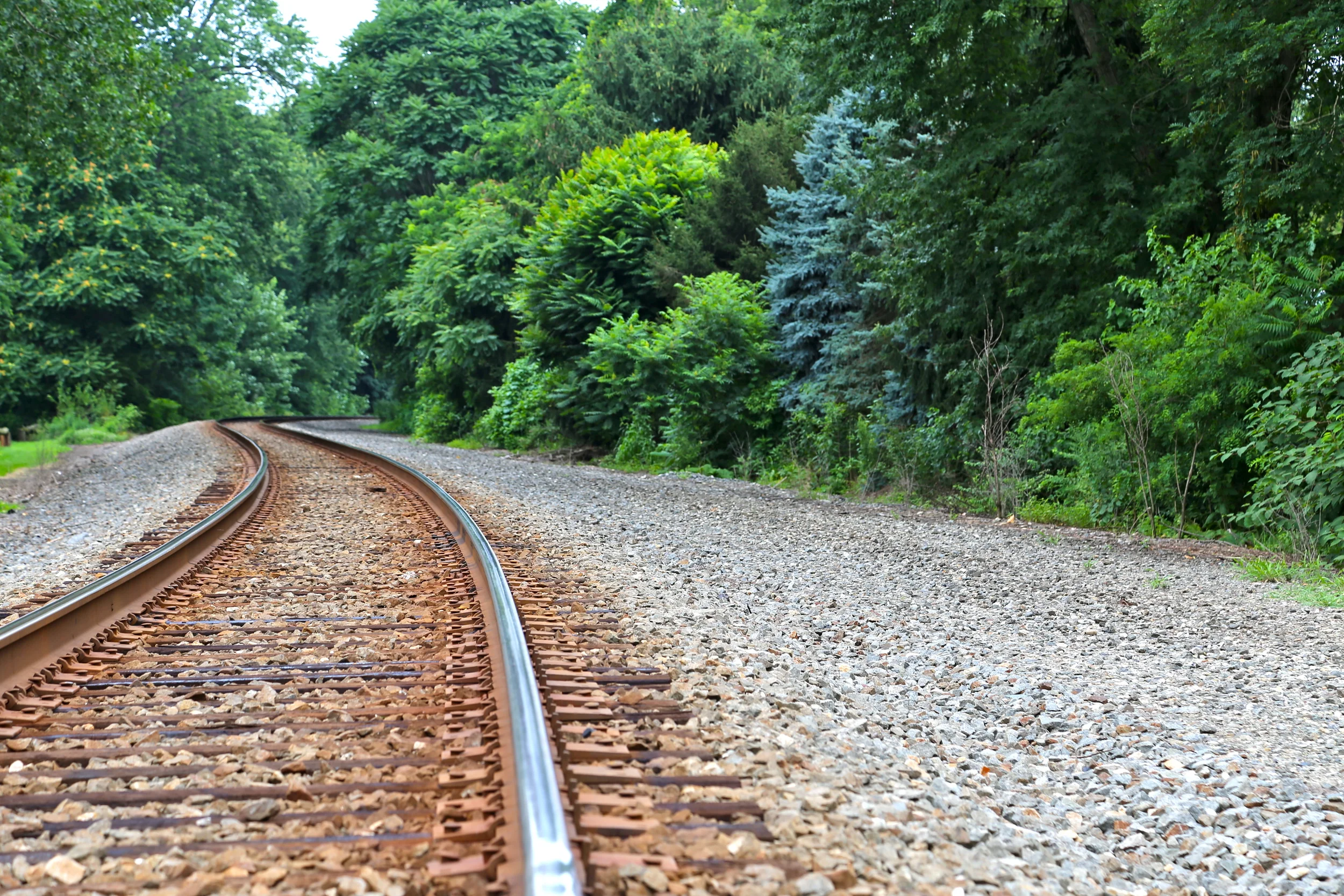 brad fetchin || rusty tracks