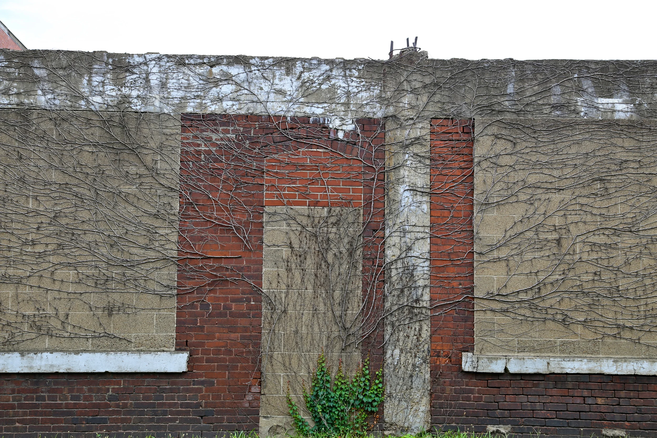 brad fetchin || "pattern"