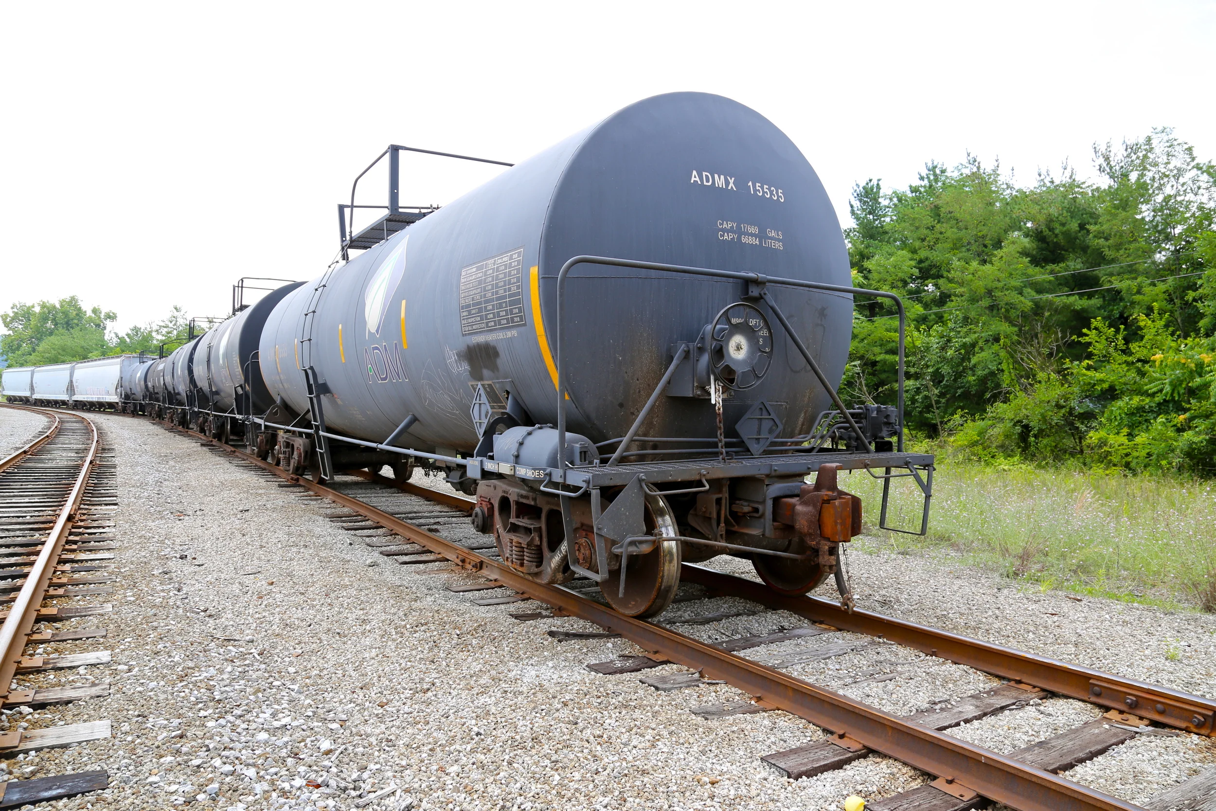 brad fetchin || "oil"