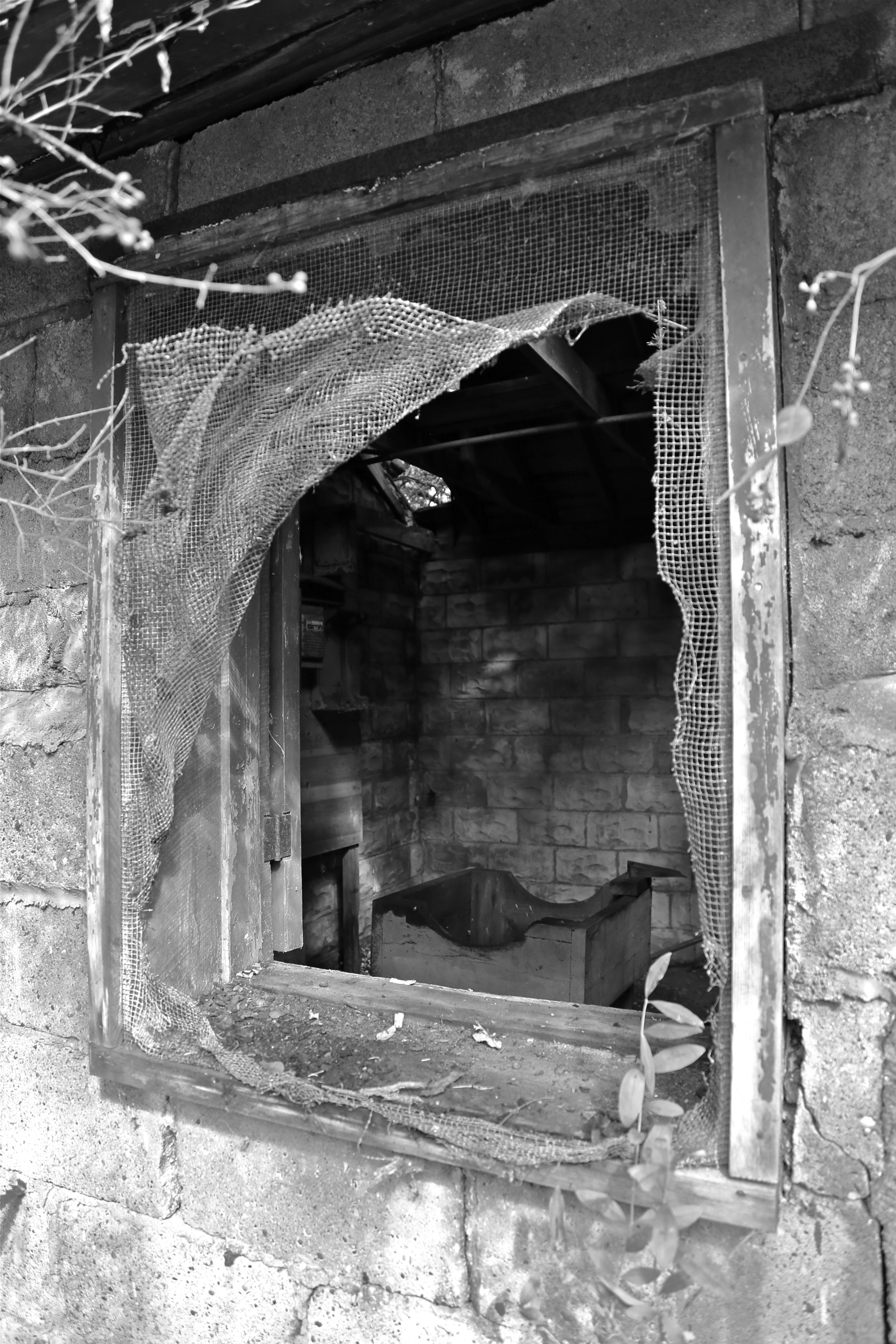 brad fetchin || peeled back + inside